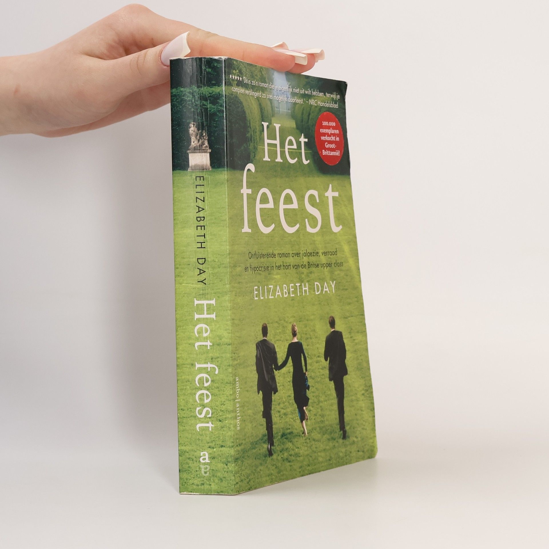 Eefje Bosch Het feest