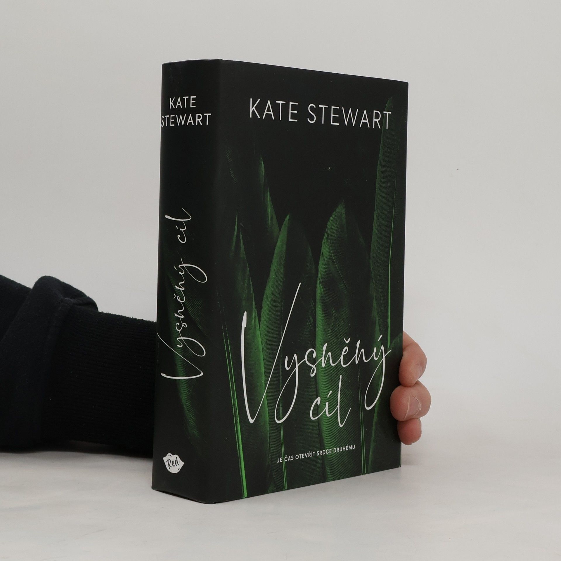 Kate Stewart Vysněný cíl. Kniha třetí