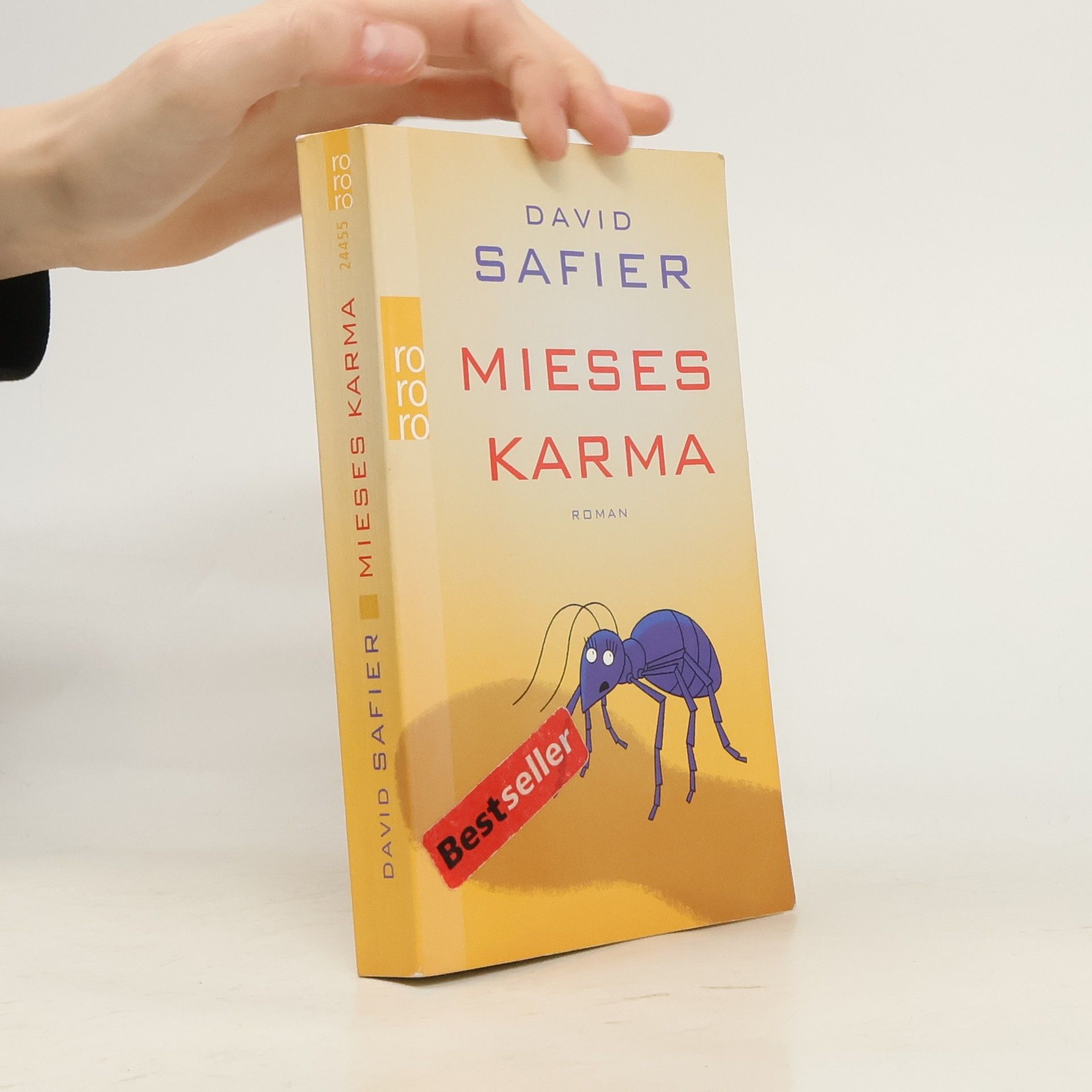 David Safier Mieses Karma