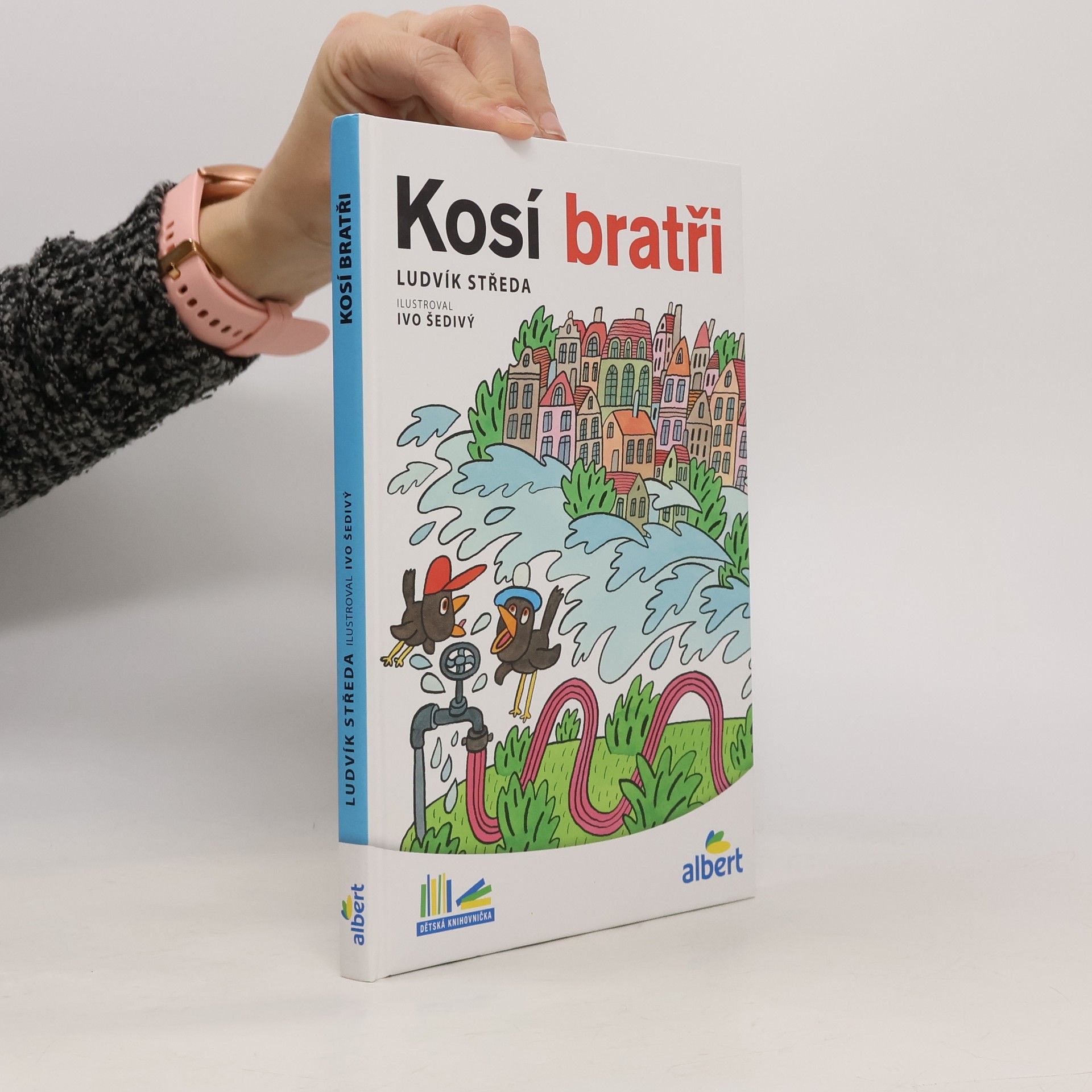 Ludvík Středa Kosí bratři