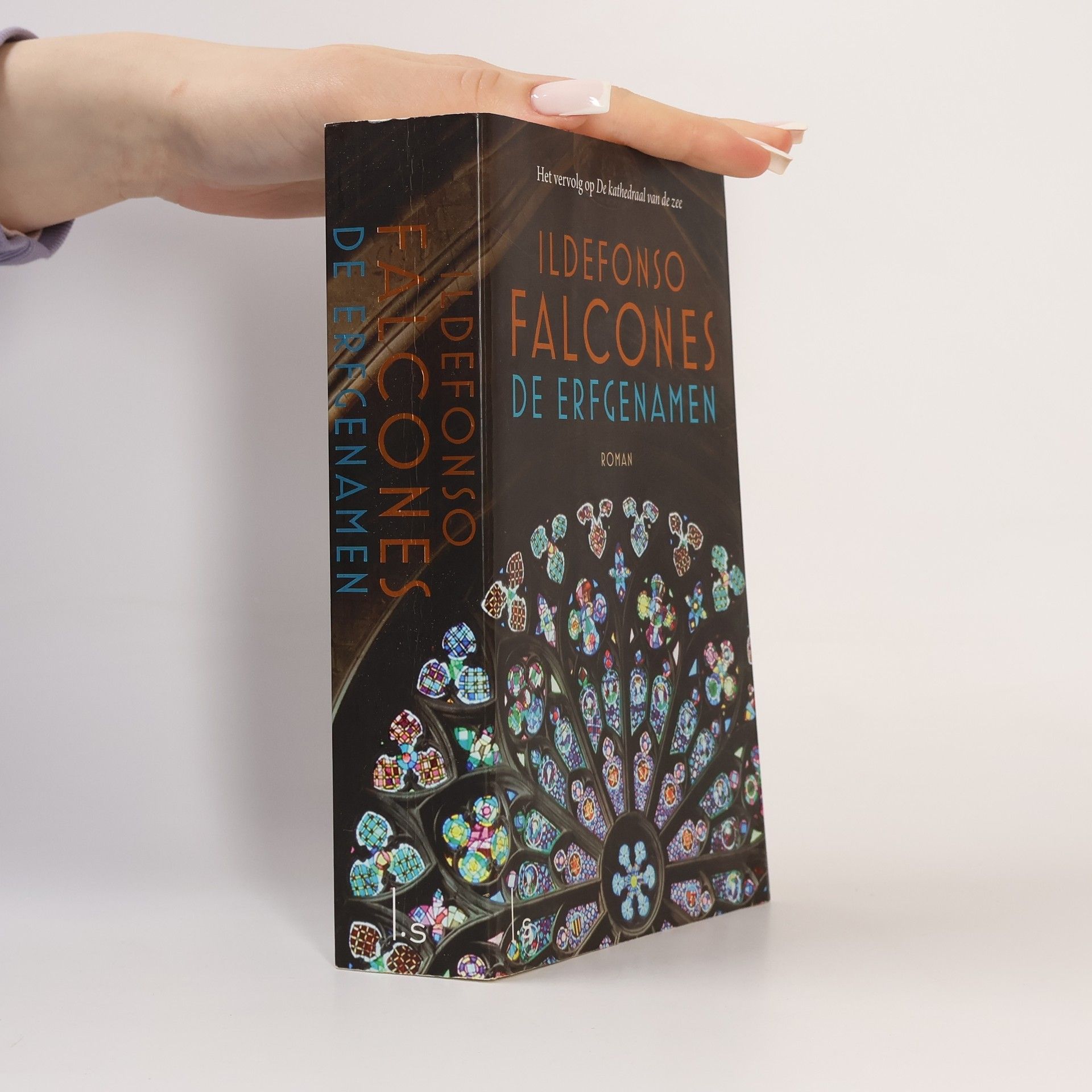 Ildefonso Falcones De erfgenamen