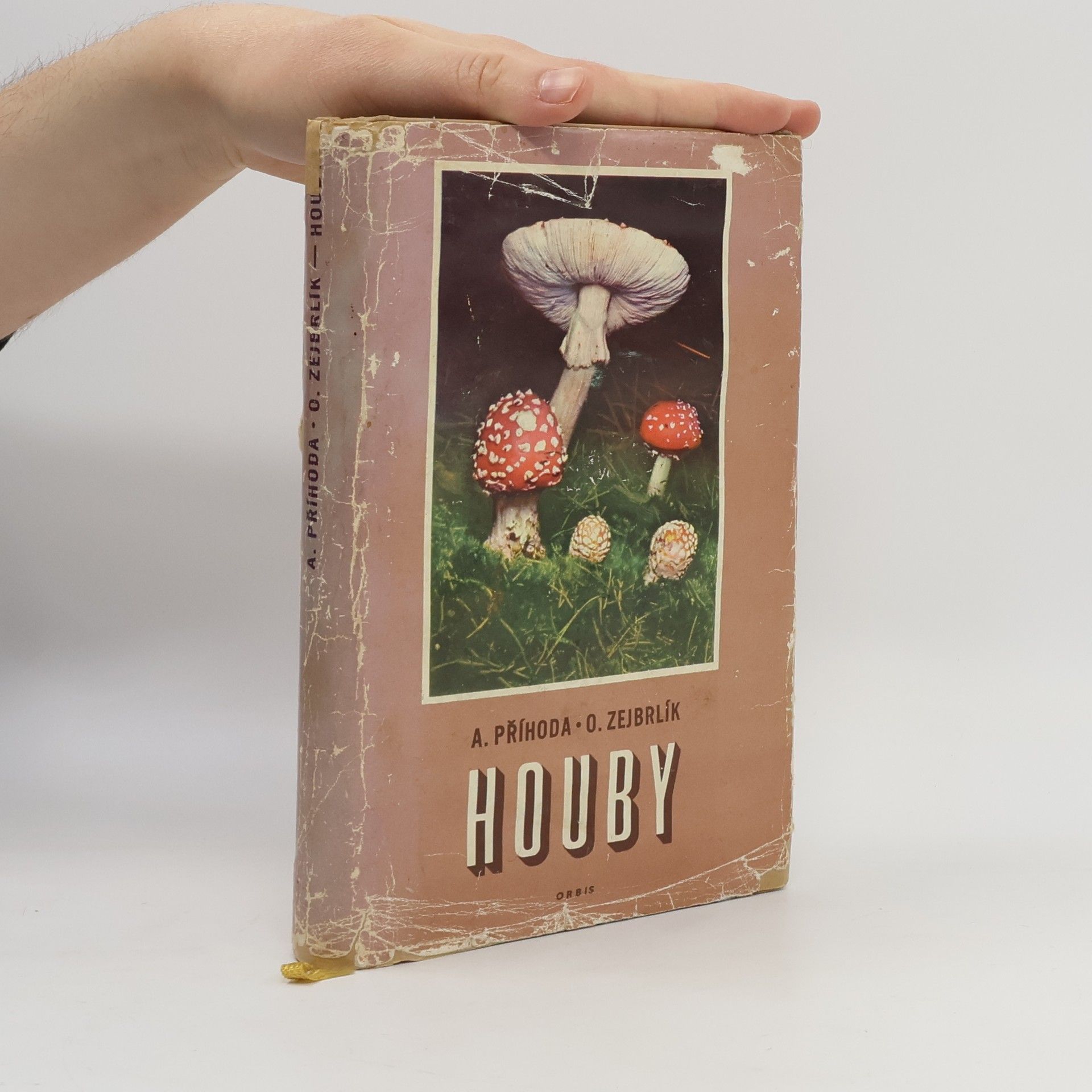Antonín Příhoda Houby