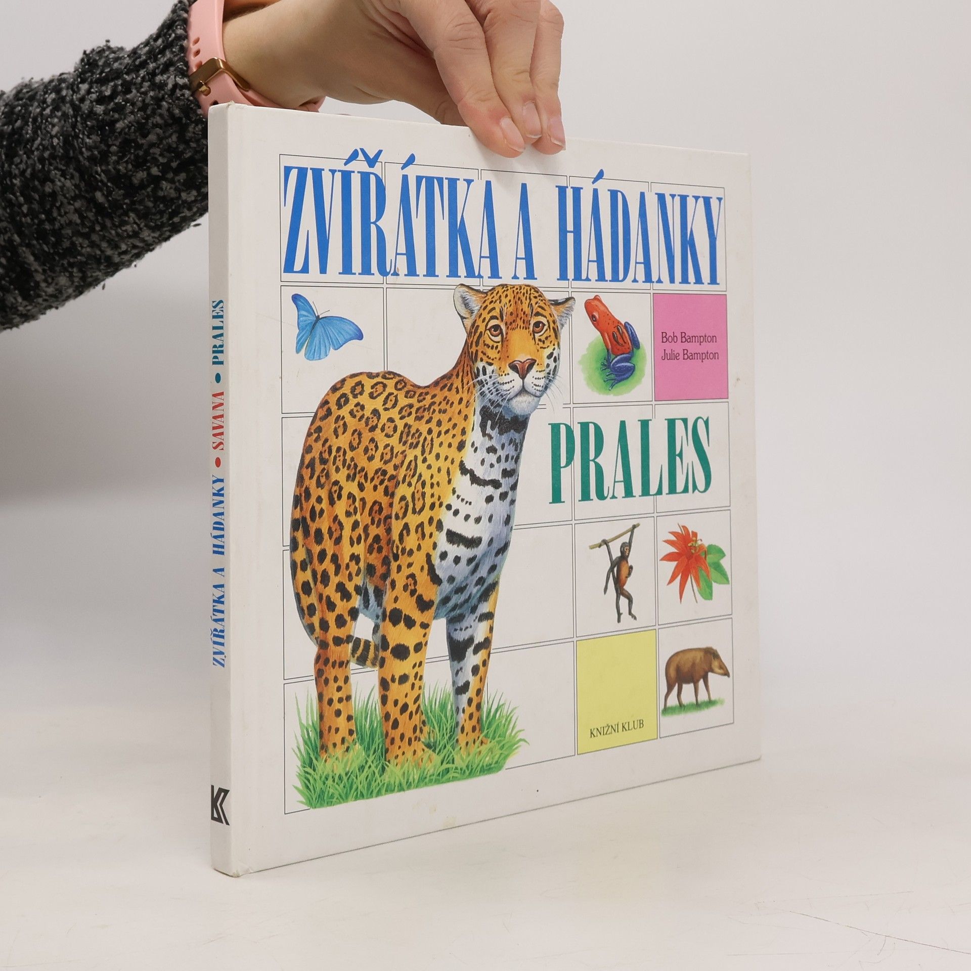 Zvířátka a hádanky - Prales / Savana