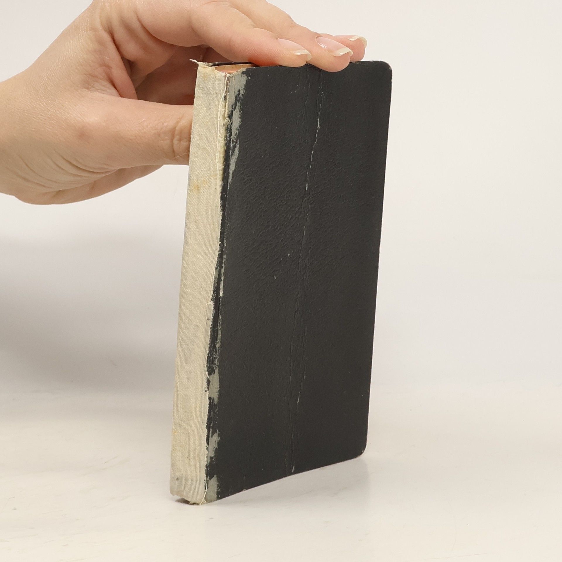 Maria Ausiliatrice Raccolta di mottetti e lodi sacre