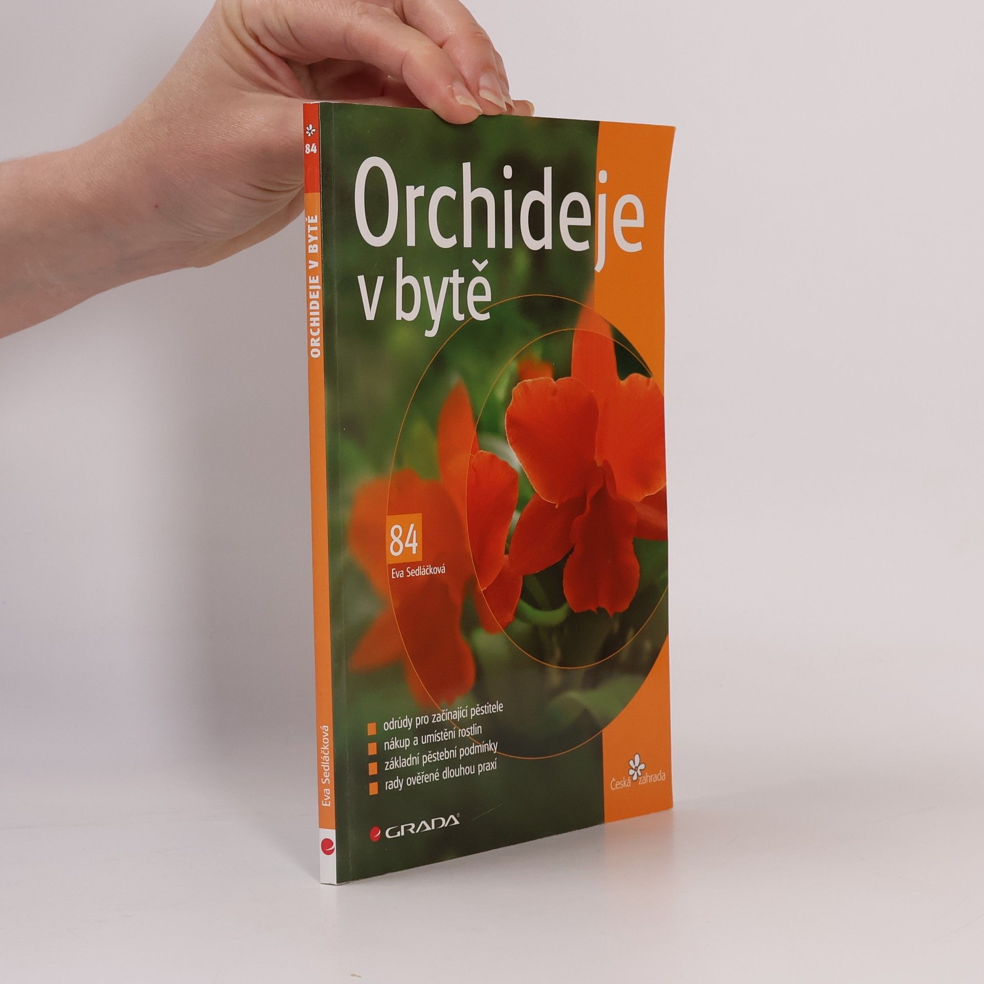 Eva Sedláčková Orchideje v bytě