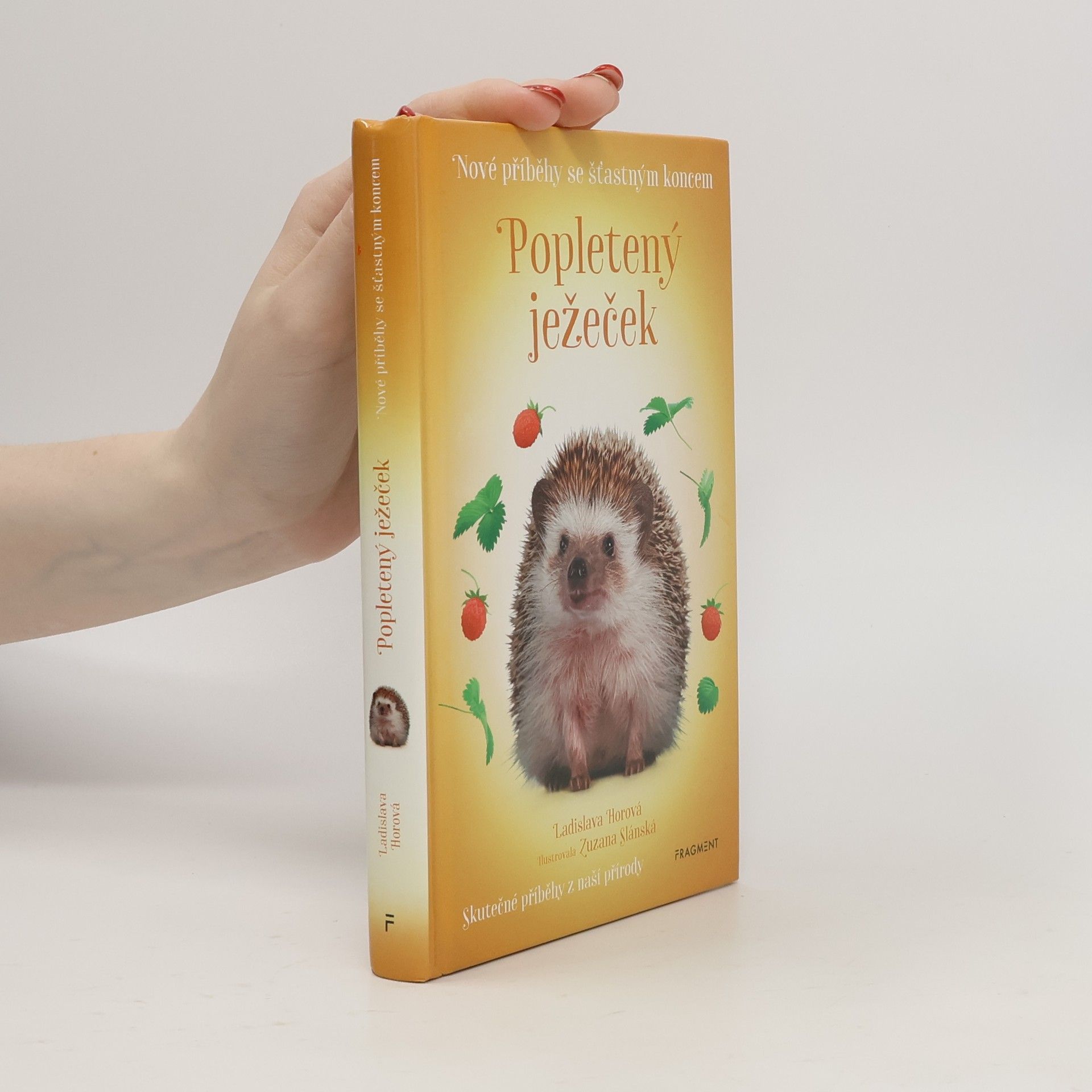 Popletený ježeček