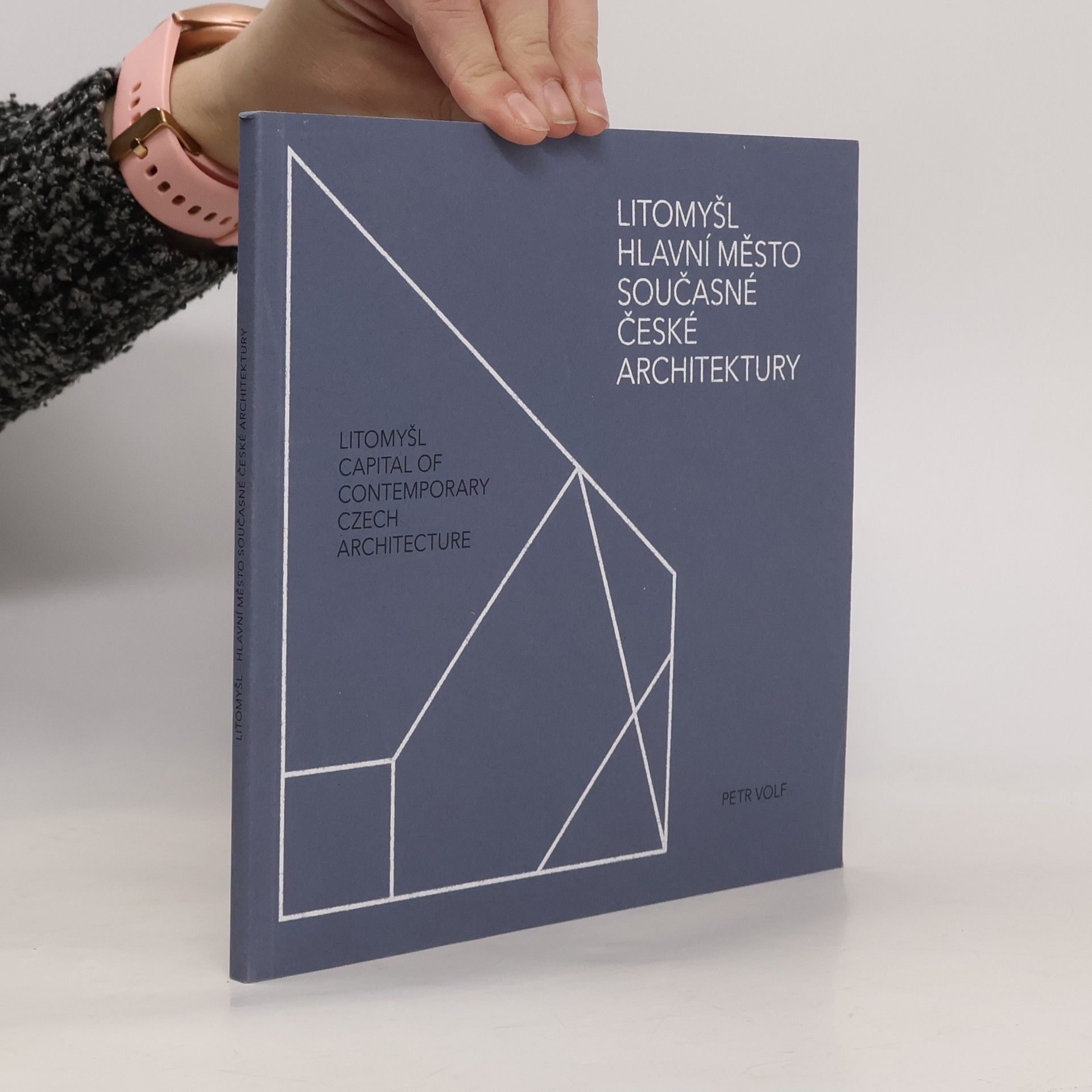 Litomyšl : hlavní město současné české architektury