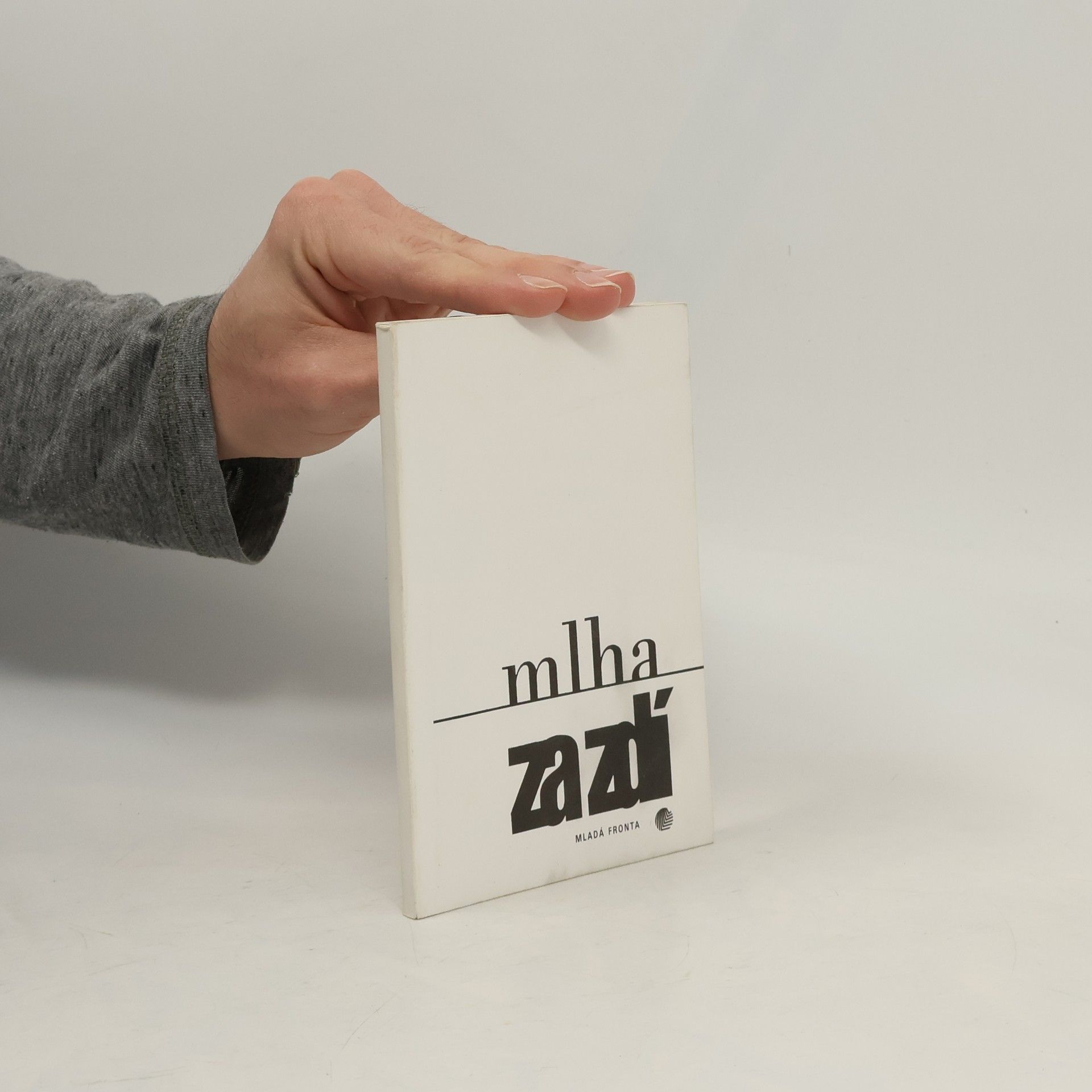 Ewald Murrer Mlha za zdí