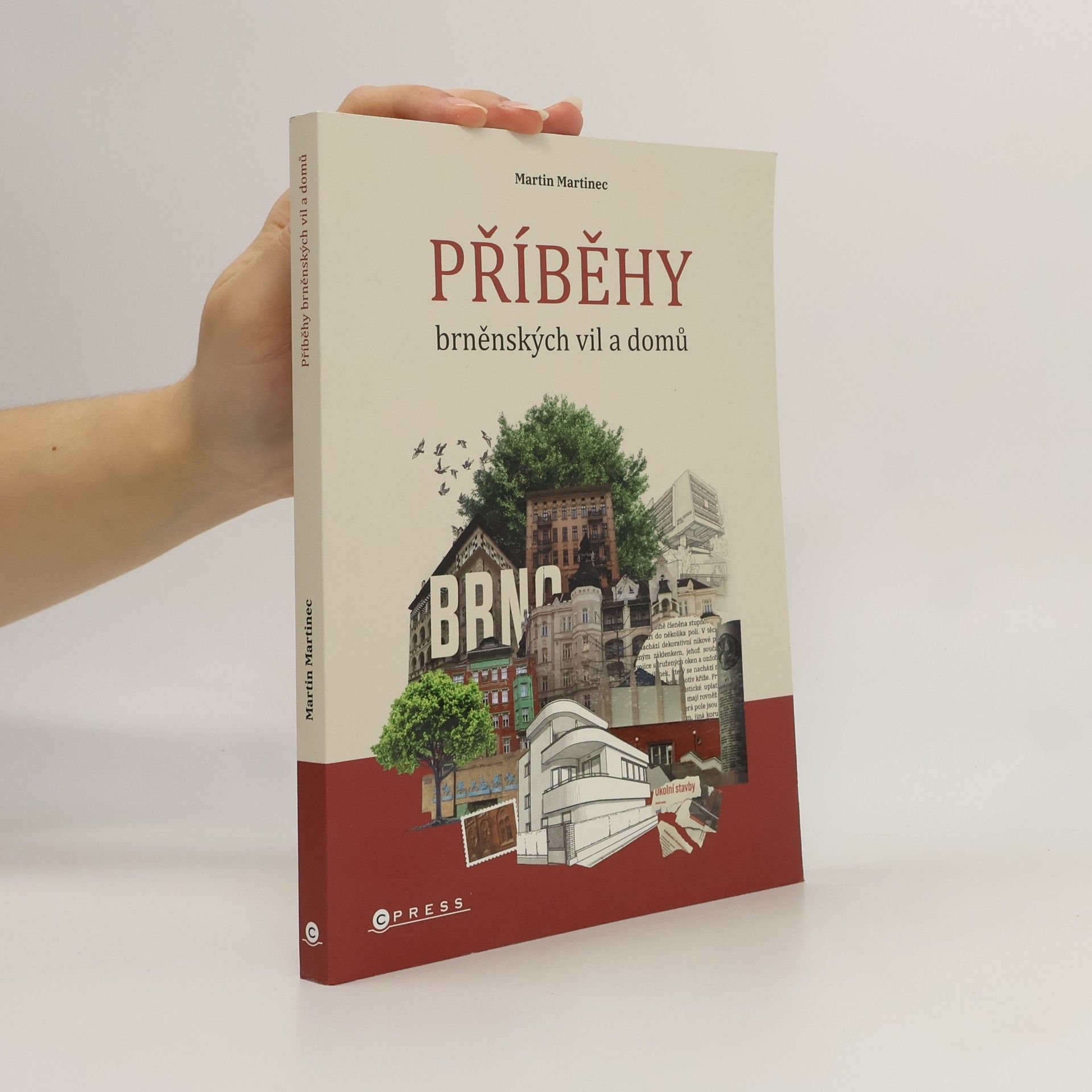 Martin Martinec Příběhy brněnských vil a domů