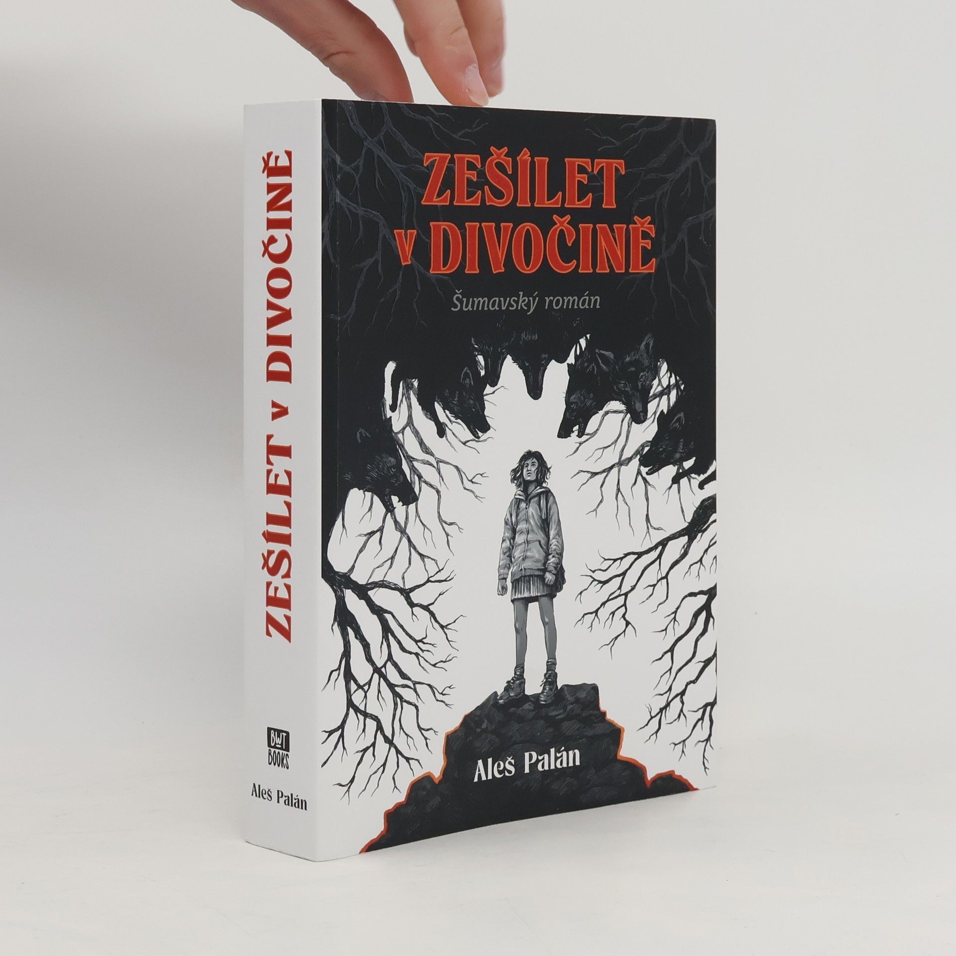 Aleš Palán Zešílet v divočině