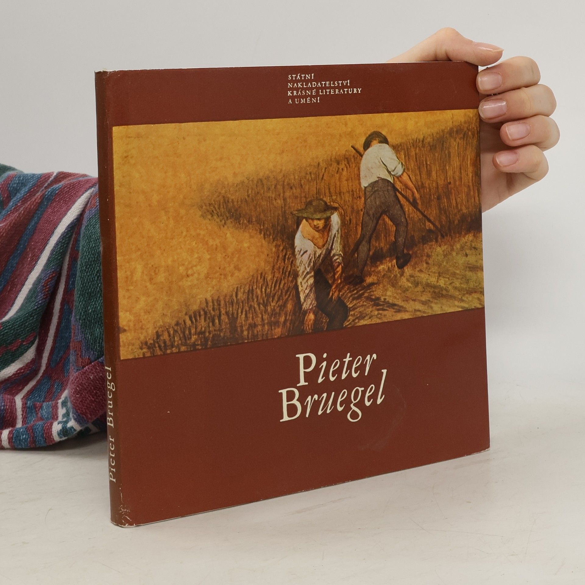Jaromír Neumann Pieter Bruegel