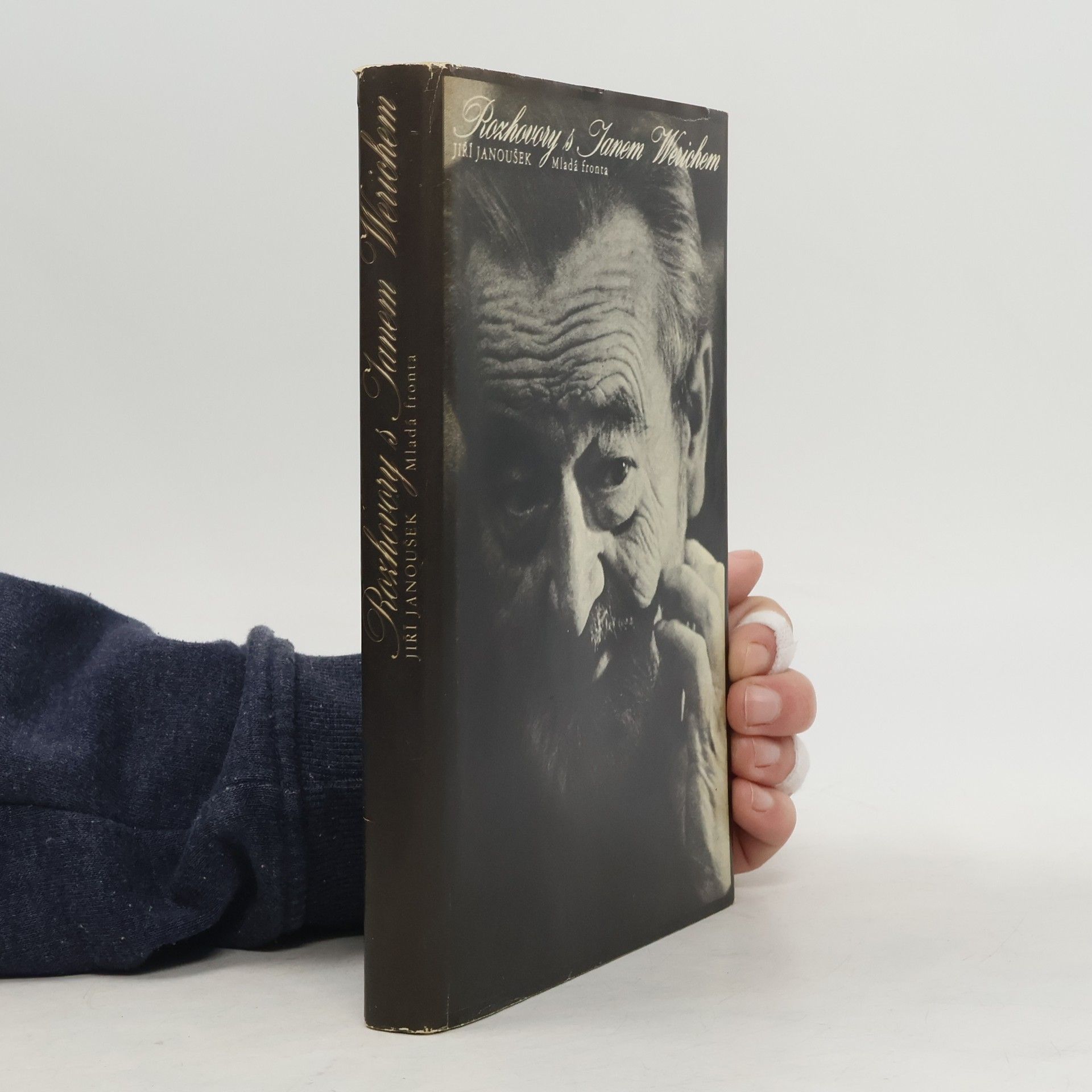 Jiří Janoušek Rozhovory s Janem Werichem