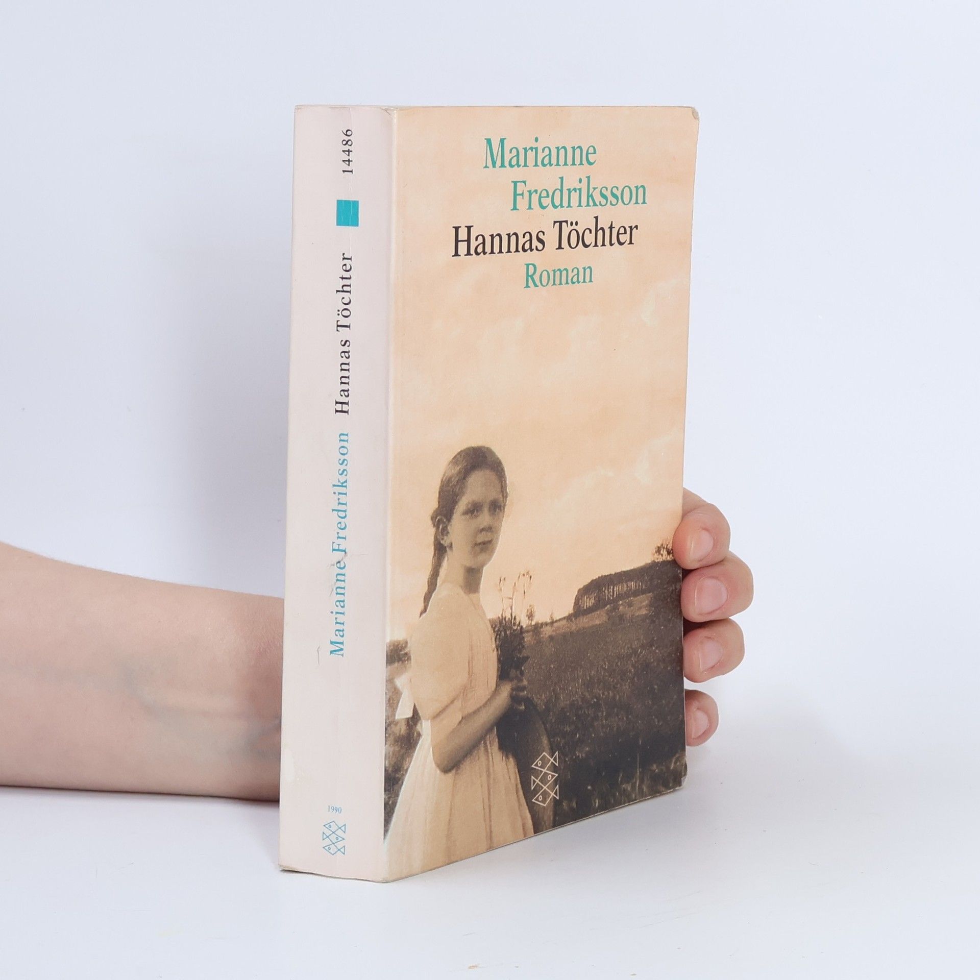 Marianne Fredriksson Hannas Töchter
