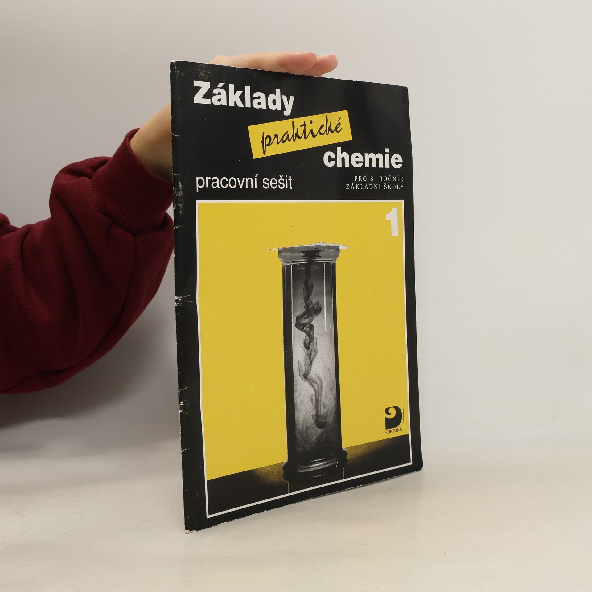 Pavel Beneš Základy praktické chemie 1. Pro 8. ročník základní školy. Pracovní sešit