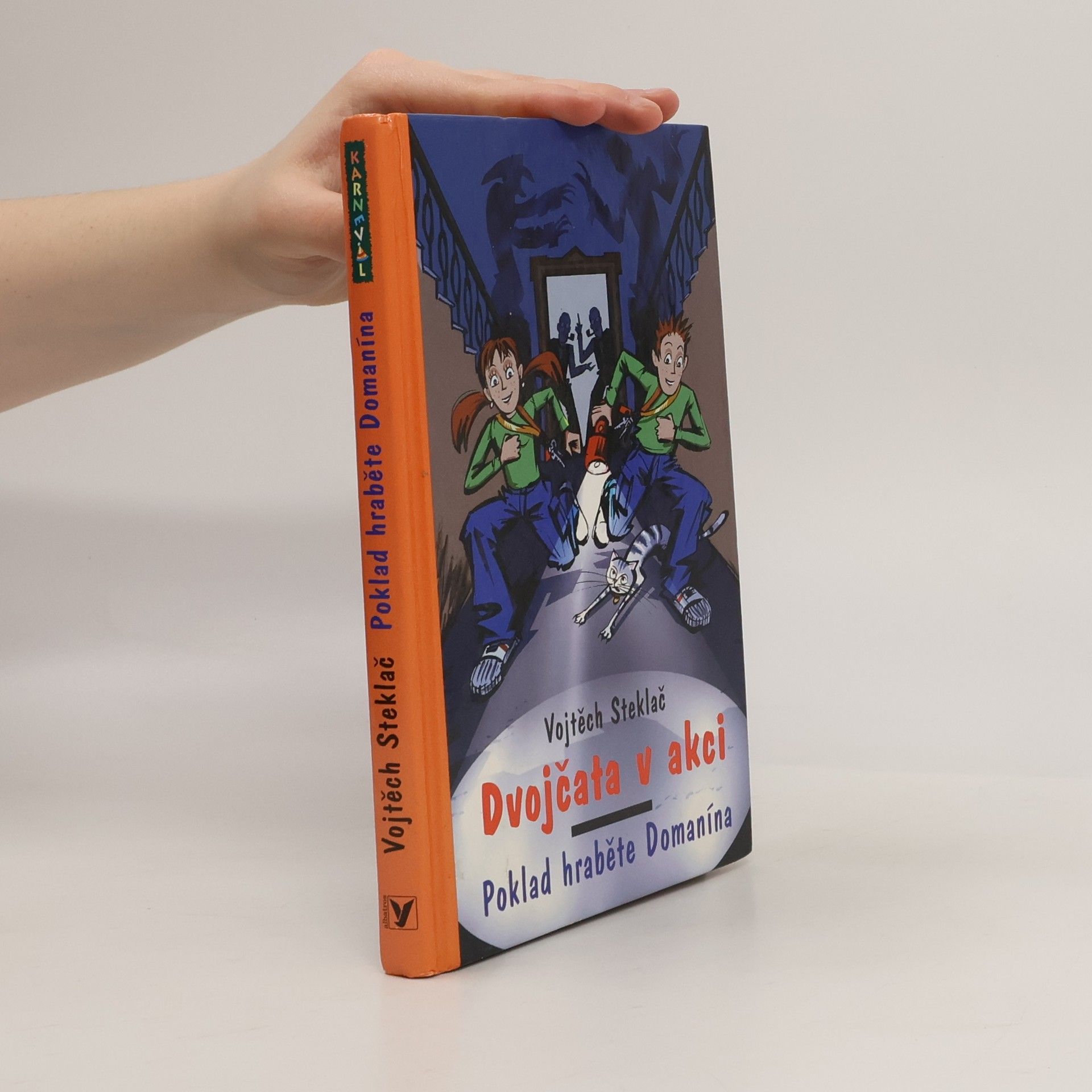 Vojtěch Steklač Dvojčata v akci. Poklad hraběte Domanína