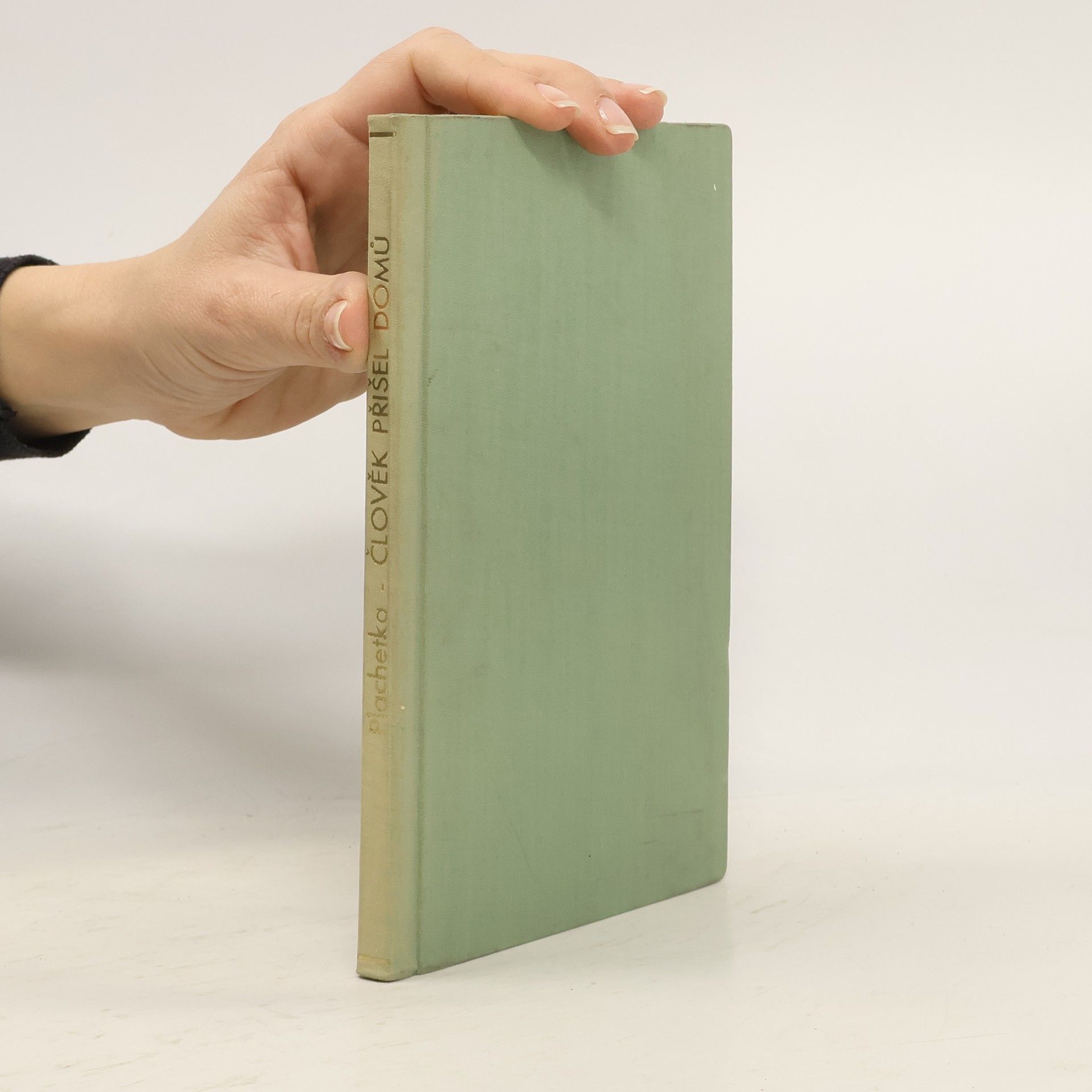 Jiří Plachetka Člověk přišel domů