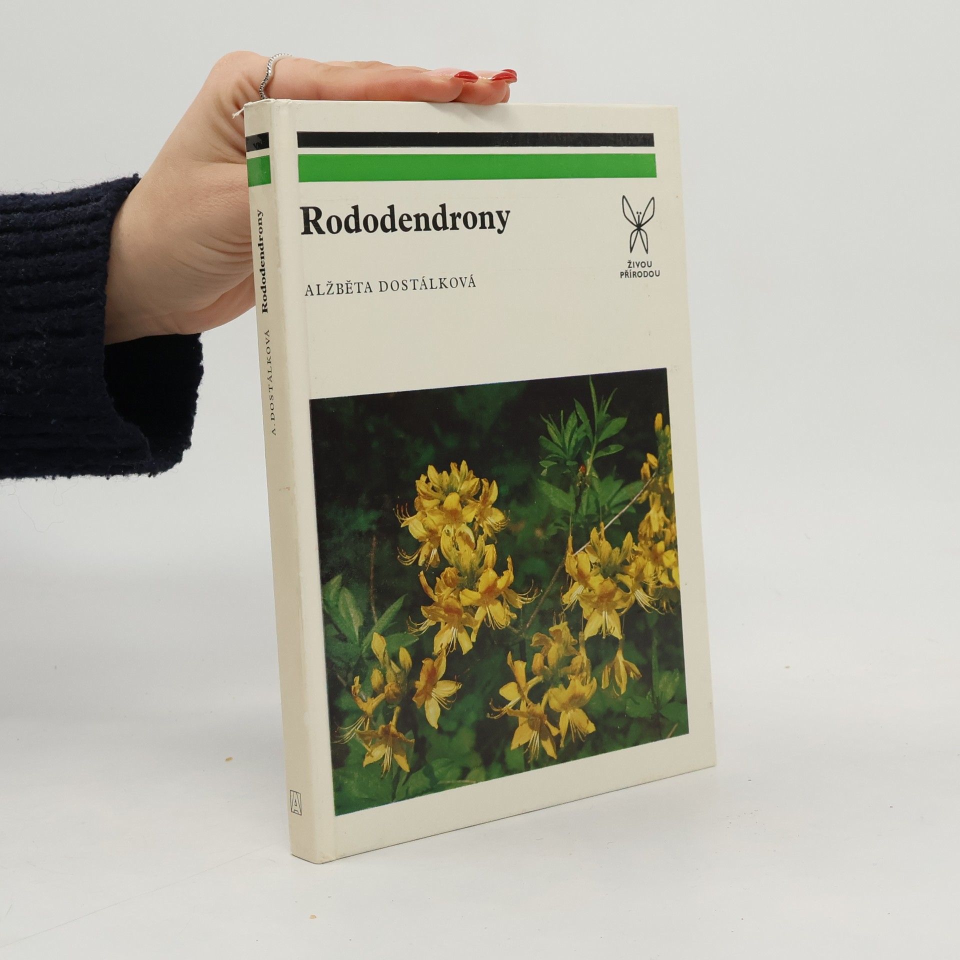 Alžběta Dostálková Rododendrony