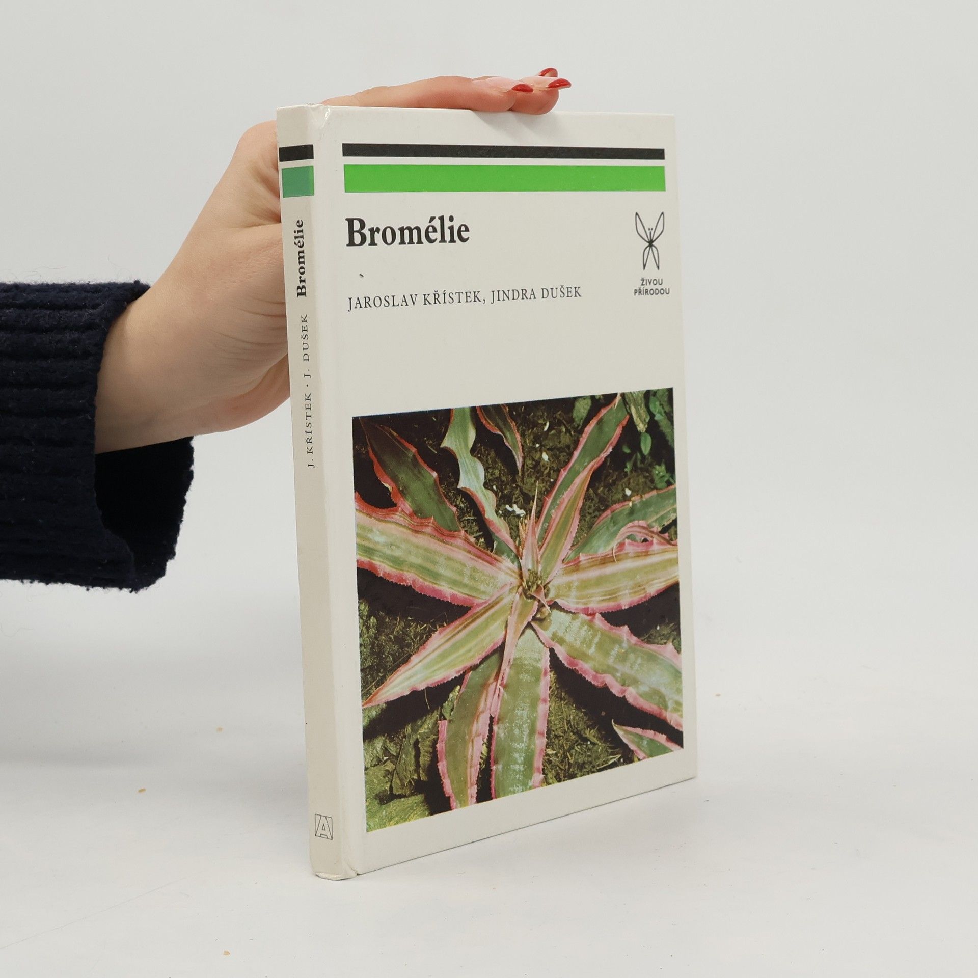 Jiří Ledr Bromélie