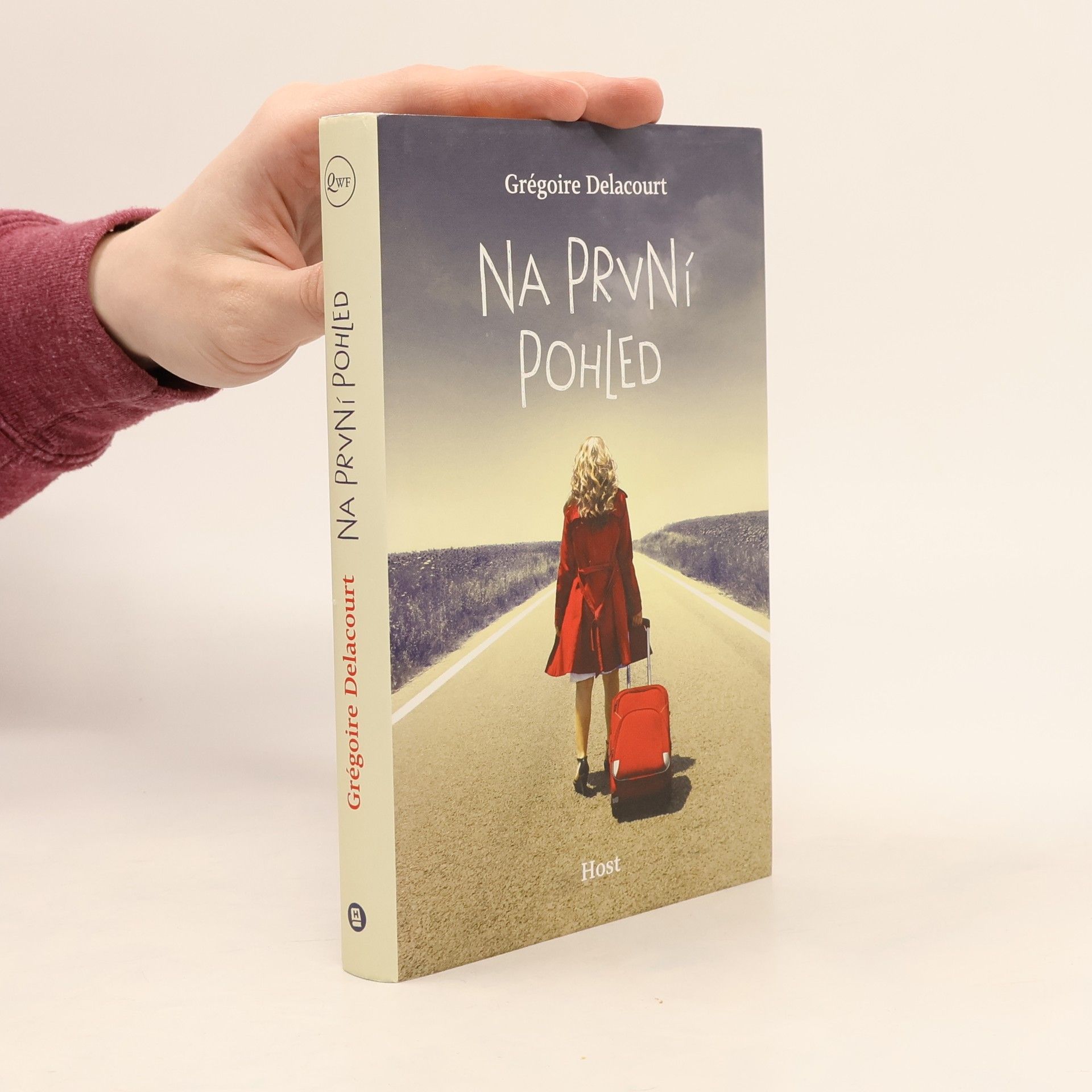 Grégoire Delacourt Na první pohled