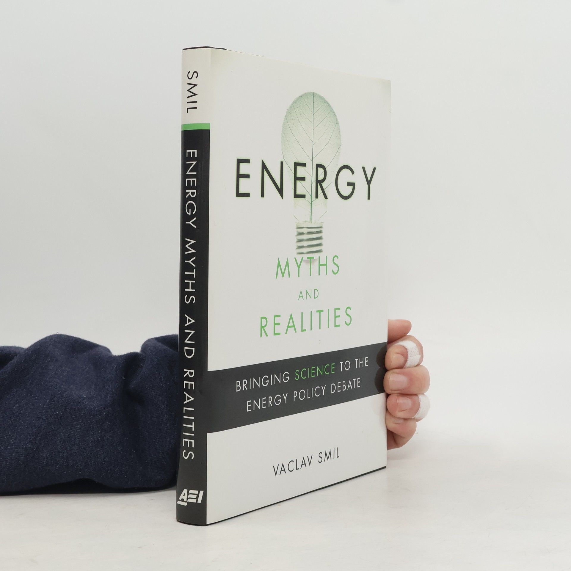 Václav Smil Energy Myths and Realities