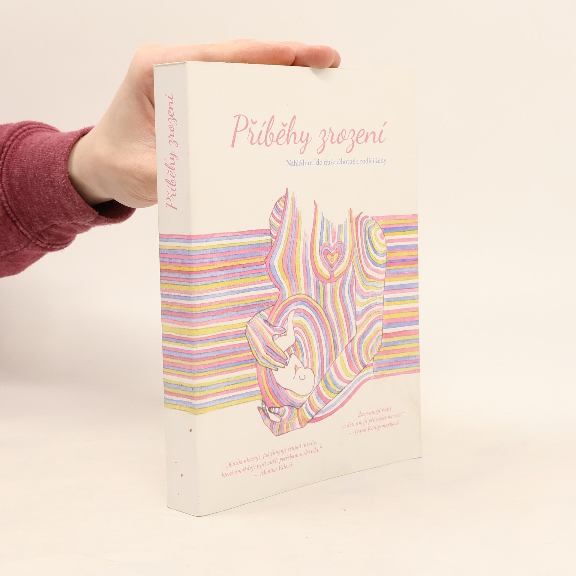 Kolektív autorov Příběhy zrození