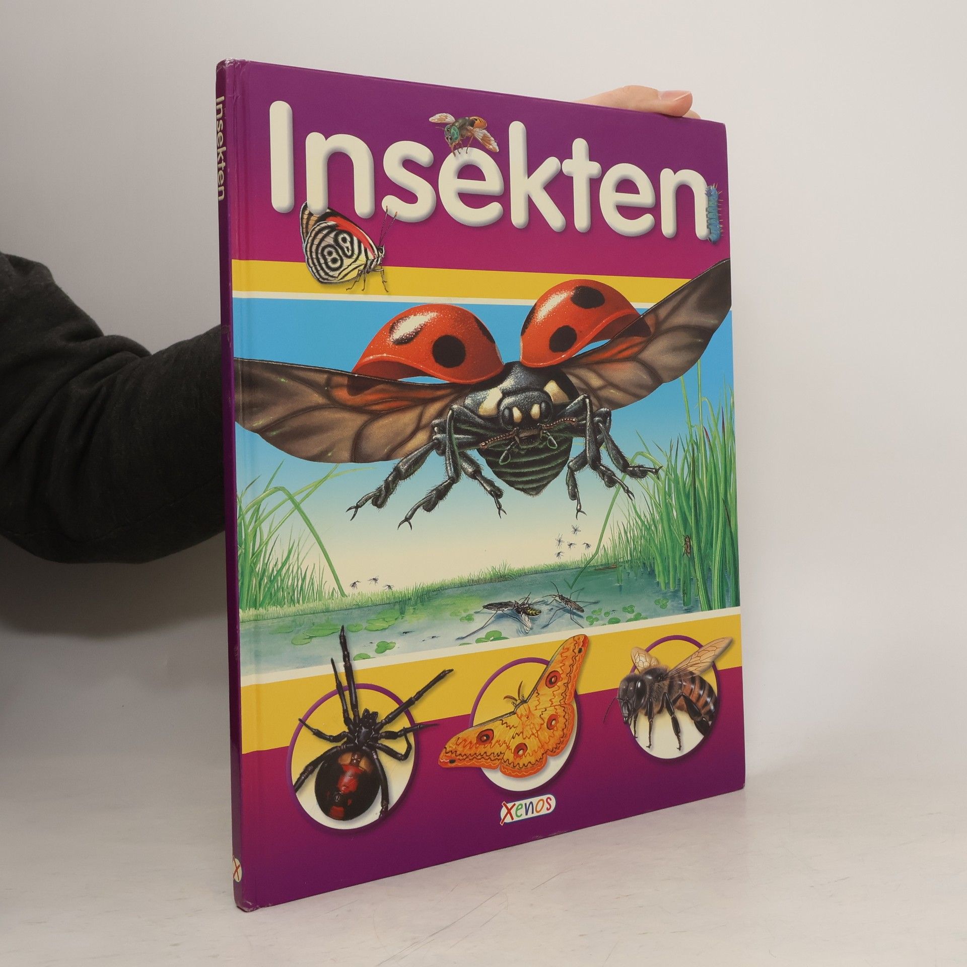 Helen Flint Insekten
