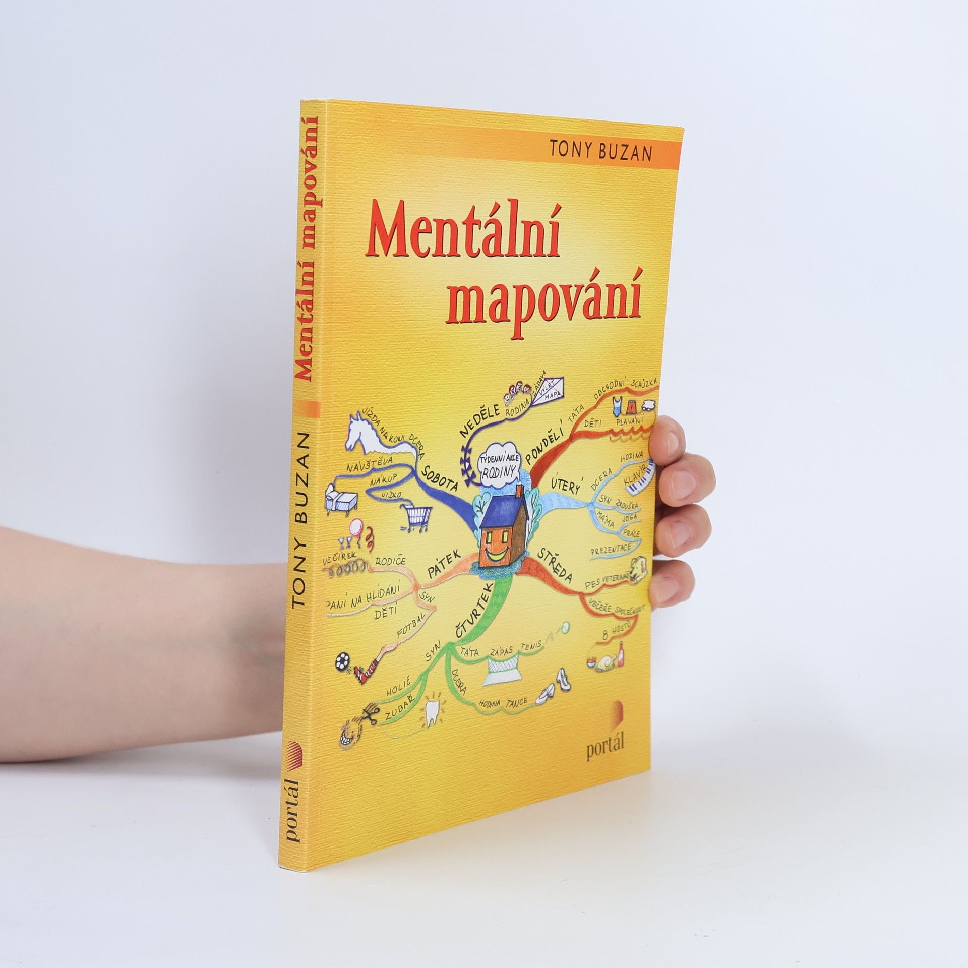 Mentální mapování