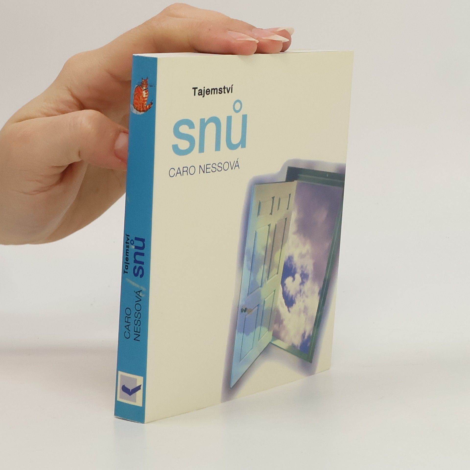 Caro Ness Tajemství snů