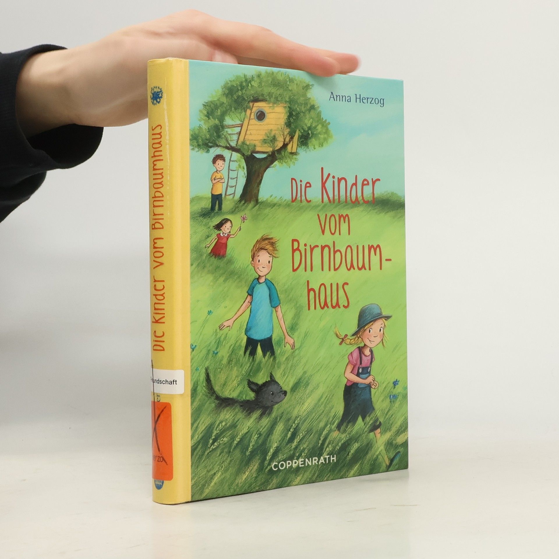 Anna Herzog Die Kinder vom Birnbaumhaus