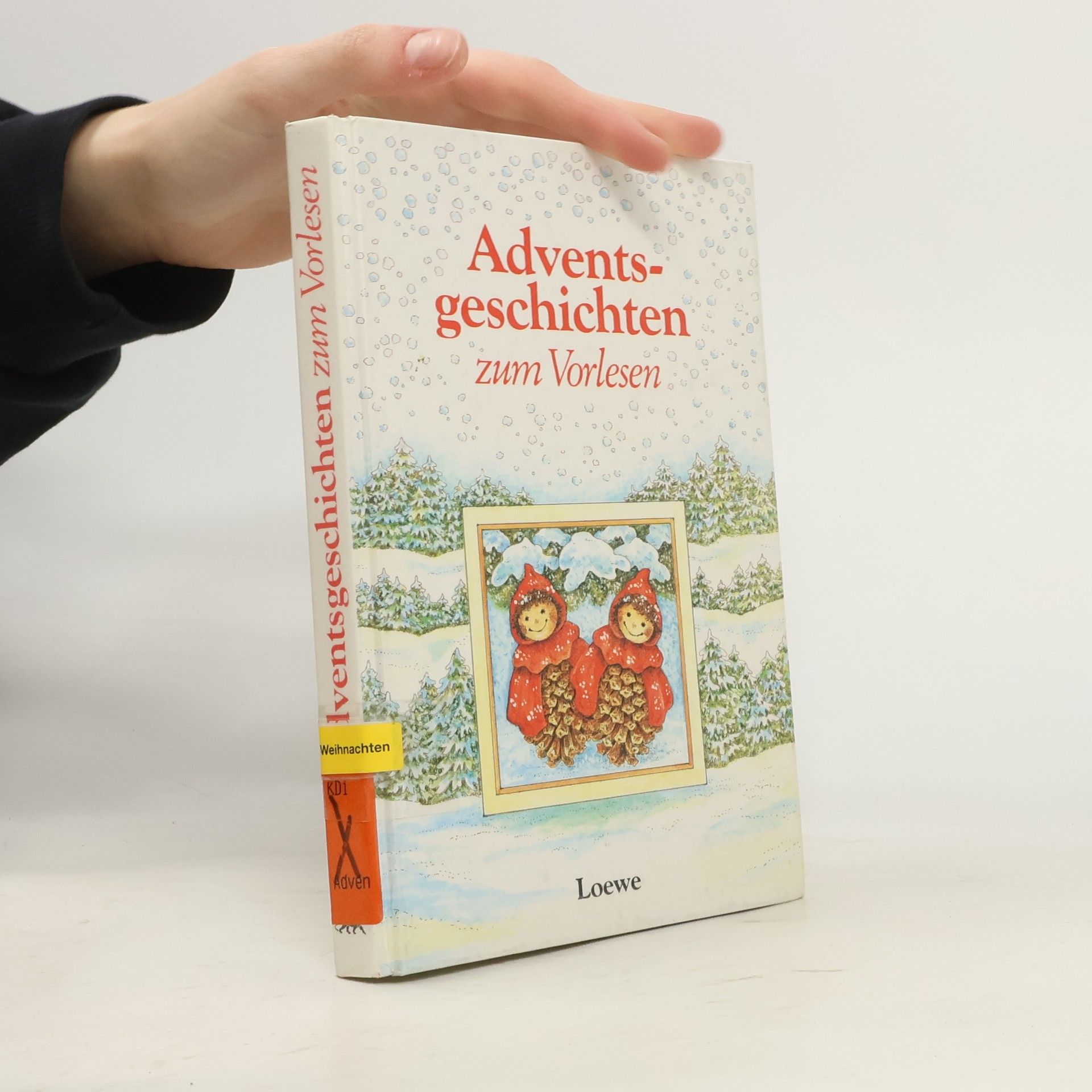 Kolektiv autorů Adventsgeschichten zum Vorlesen