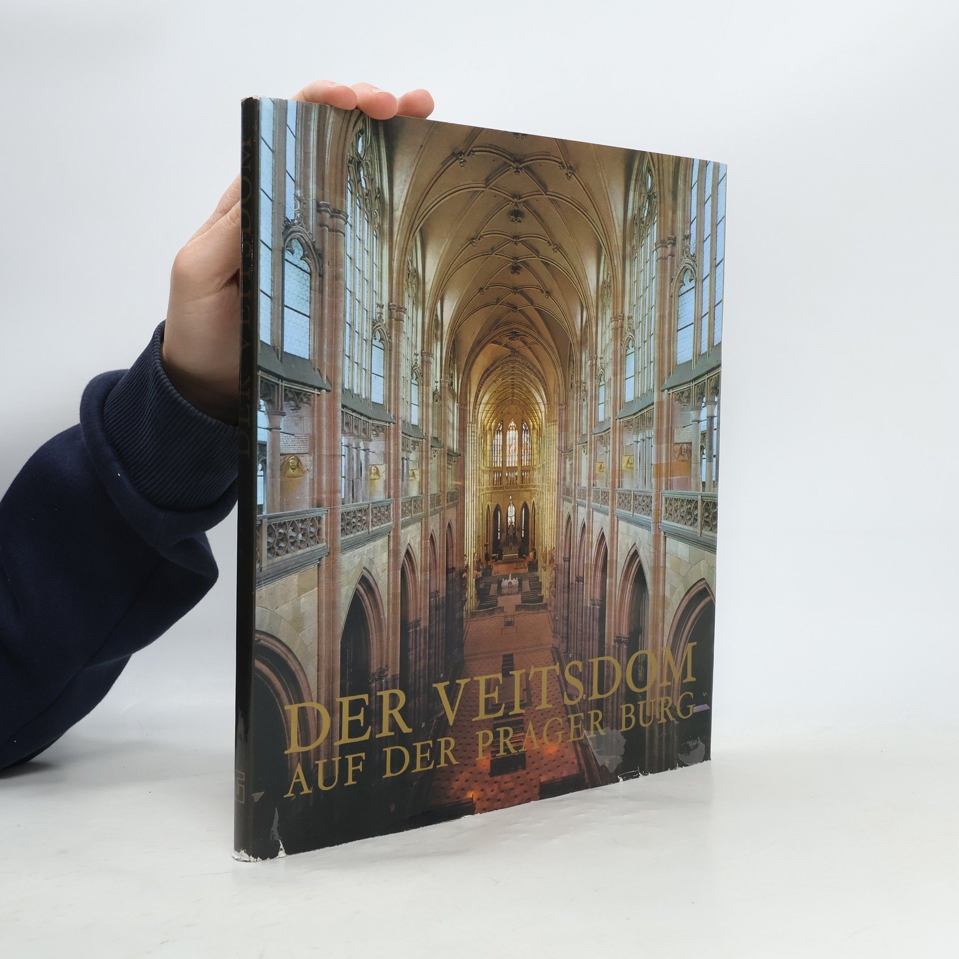 Jiří Burian Der Veitsdom auf der Prager Burg