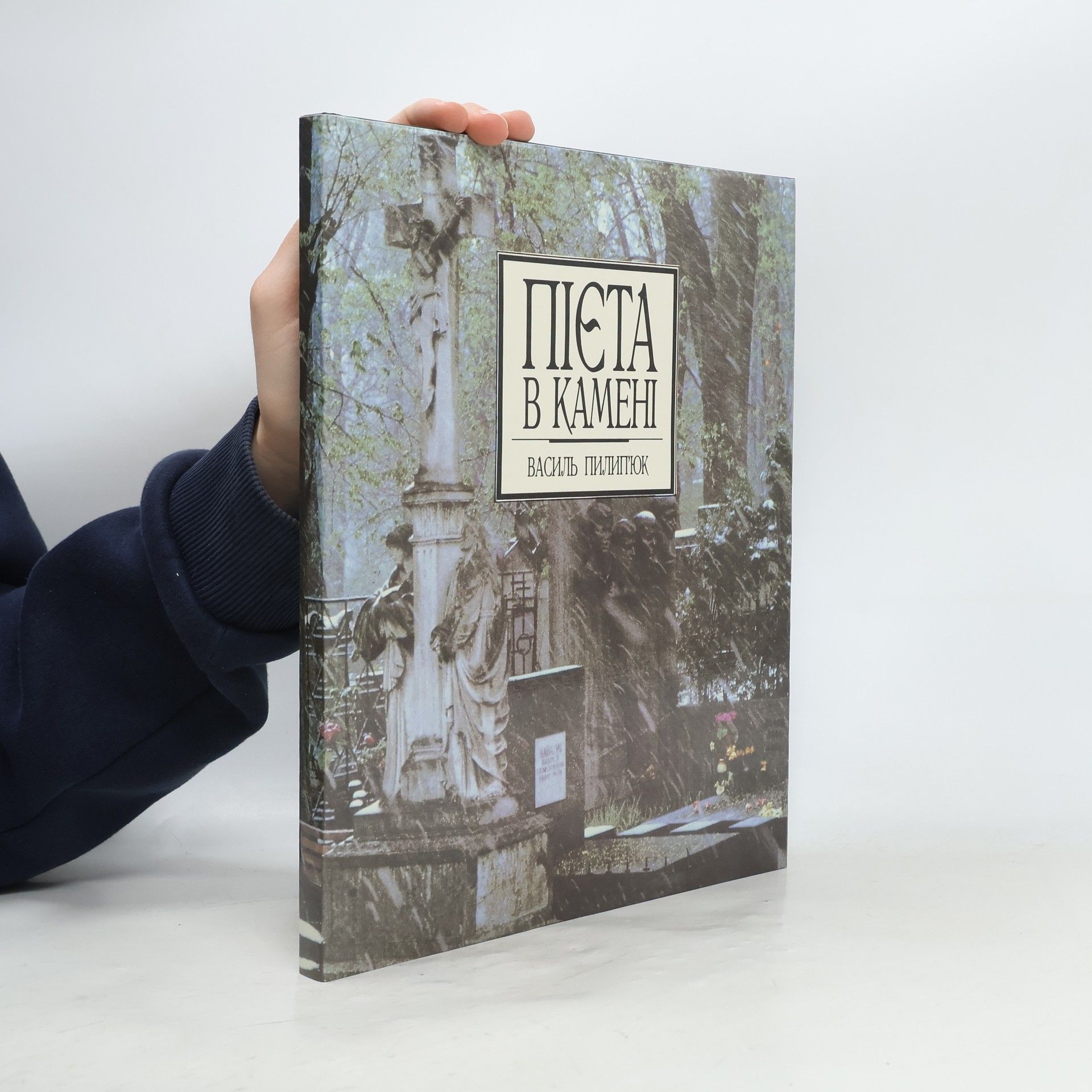 Василь Пилиптюк Пієта в камені