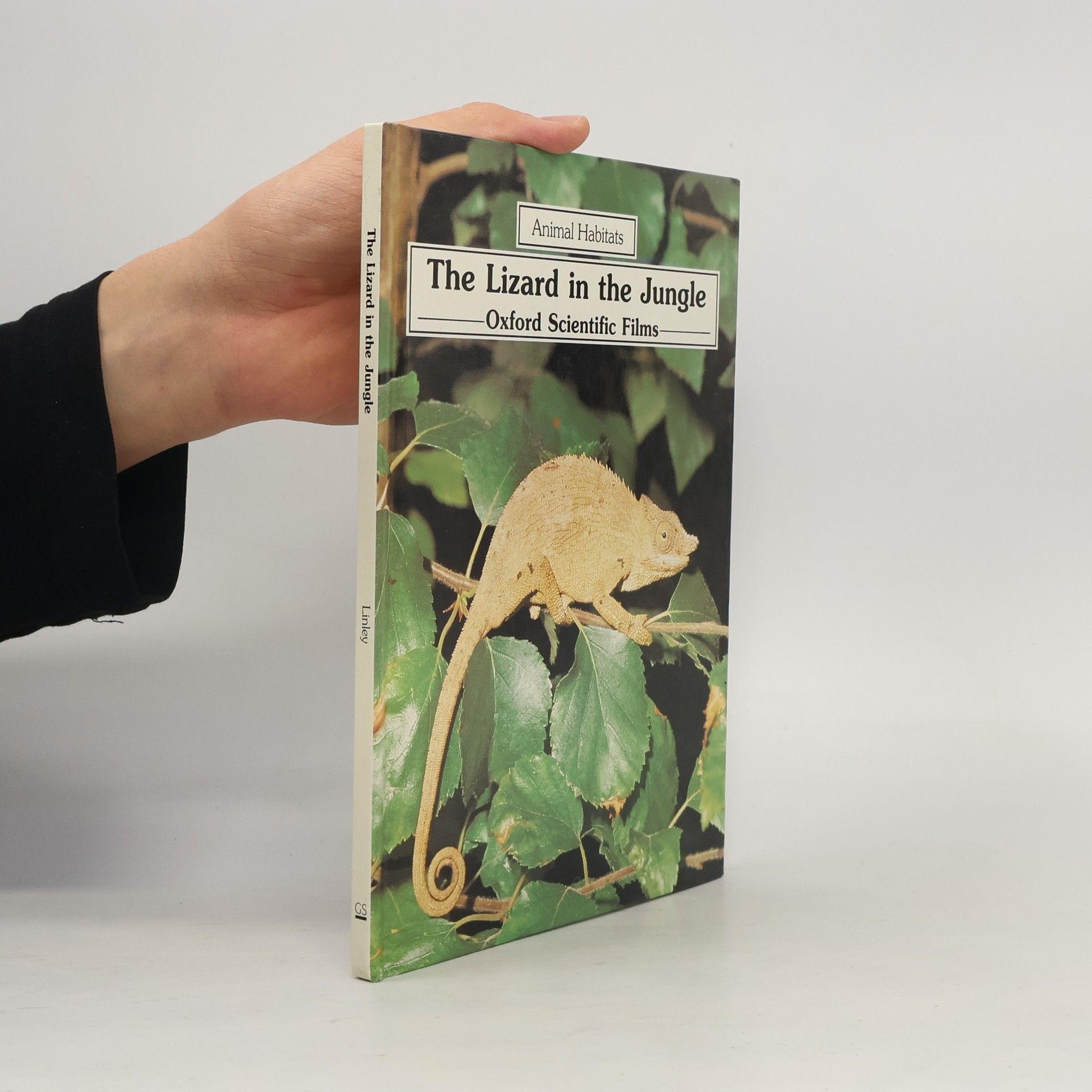 Mike Linley The Lizard in the Jungle