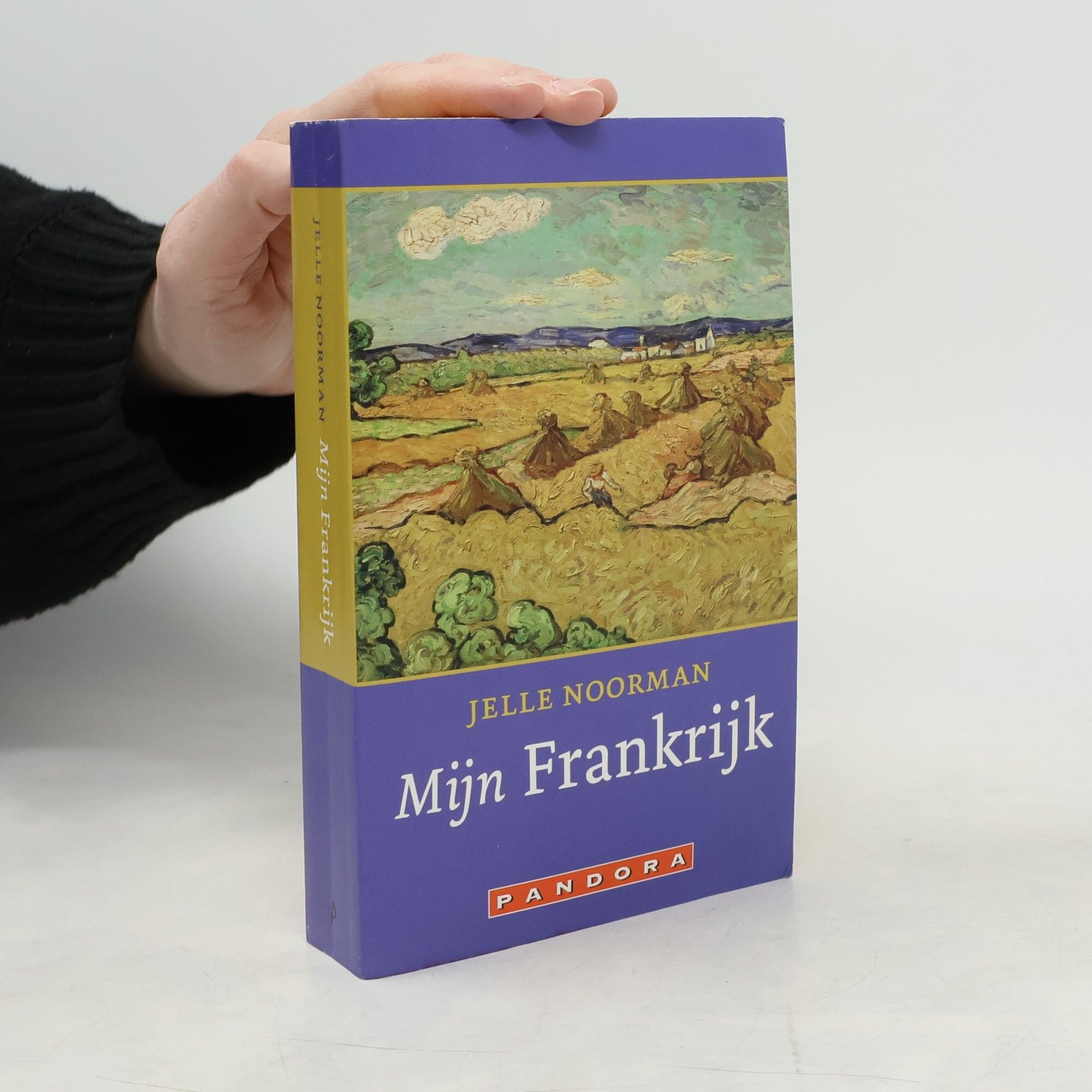 Jelle Noorman Mijn Frankrijk / druk 2