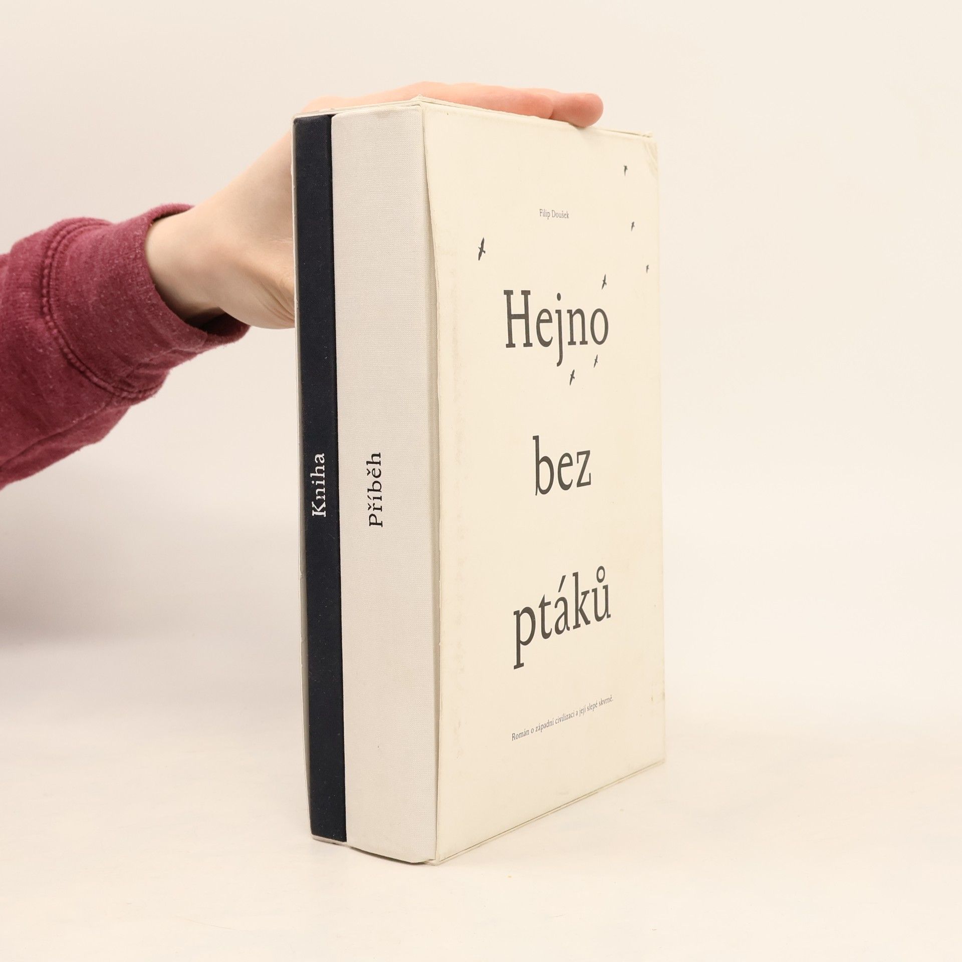 Filip Doušek Hejno bez ptáků