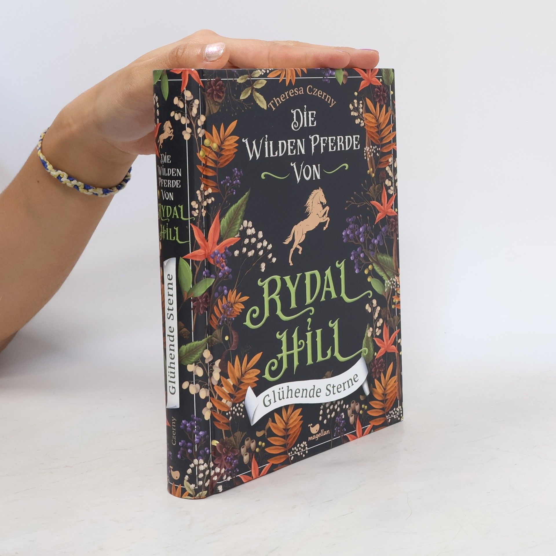 Theresa Czerny Die wilden Pferde von Rydal Hill - Glühende Sterne