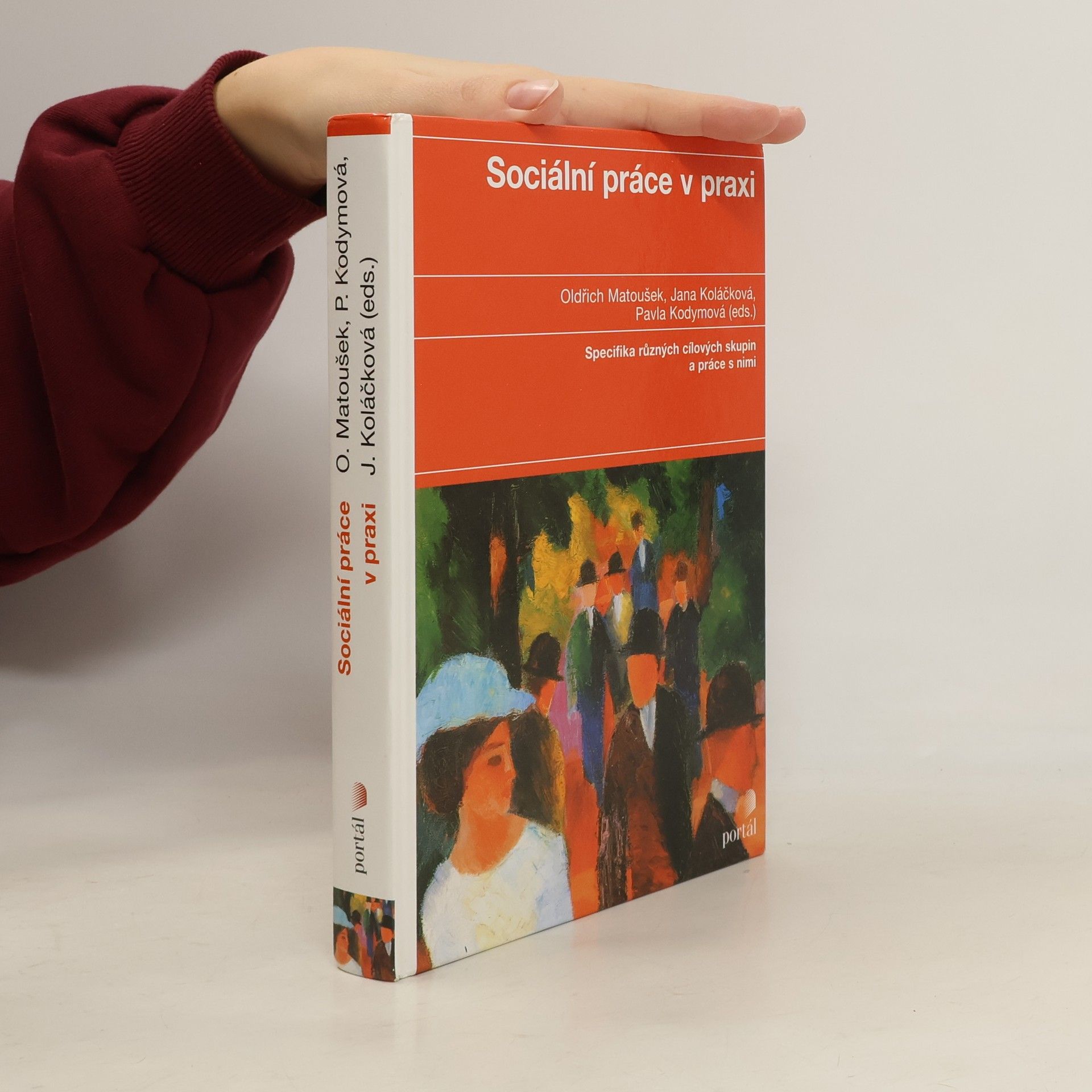 Oldřich Matoušek Sociální práce v praxi: Specifika různých cílových skupin a práce s nimi