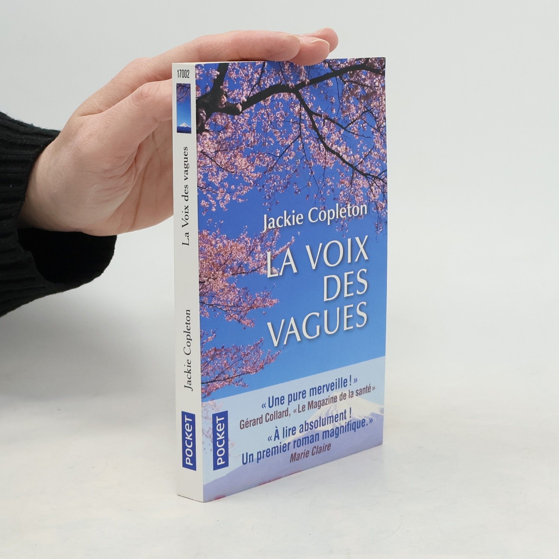 Jackie Copleton POCKET: La Voix des vagues