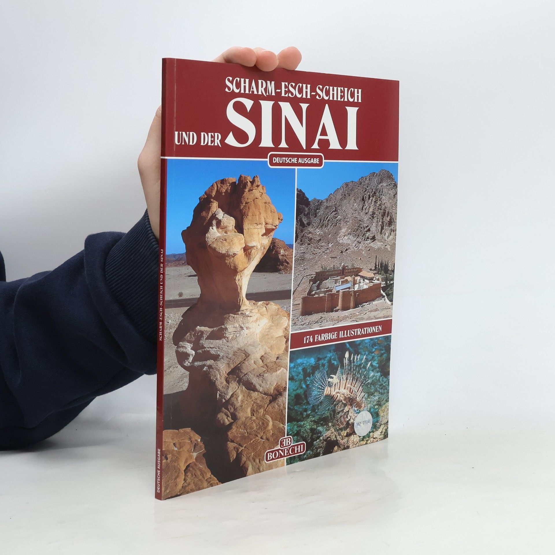 Die Halbinsel Sinai