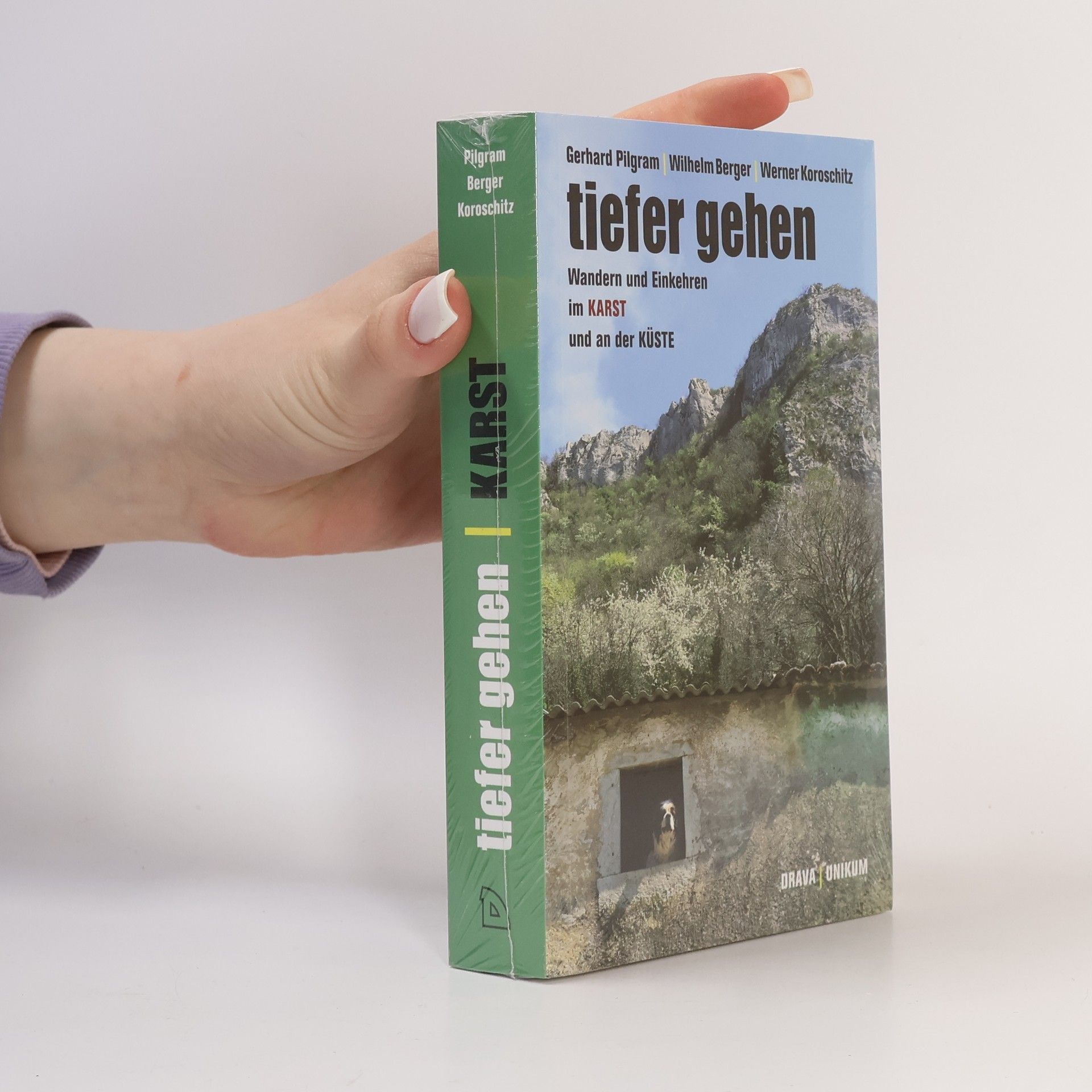 Gerhard Pilgram Tiefer gehen