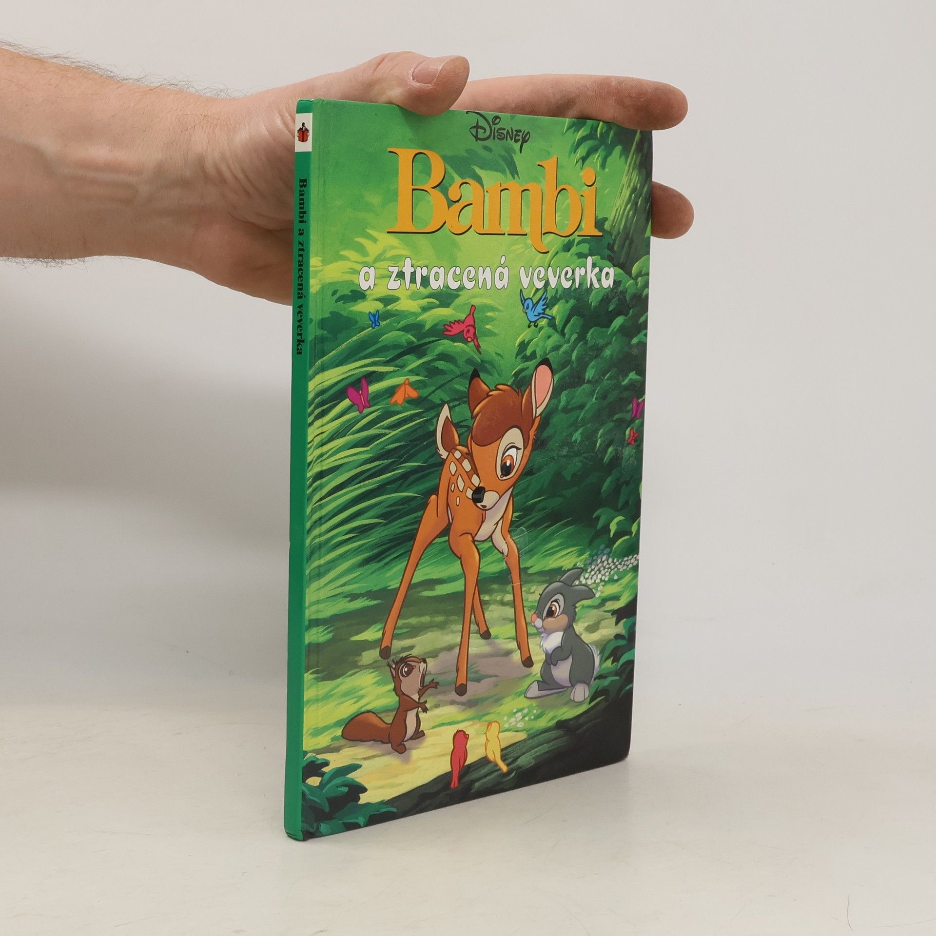 Kolektiv autorů Bambi a ztracená veverka