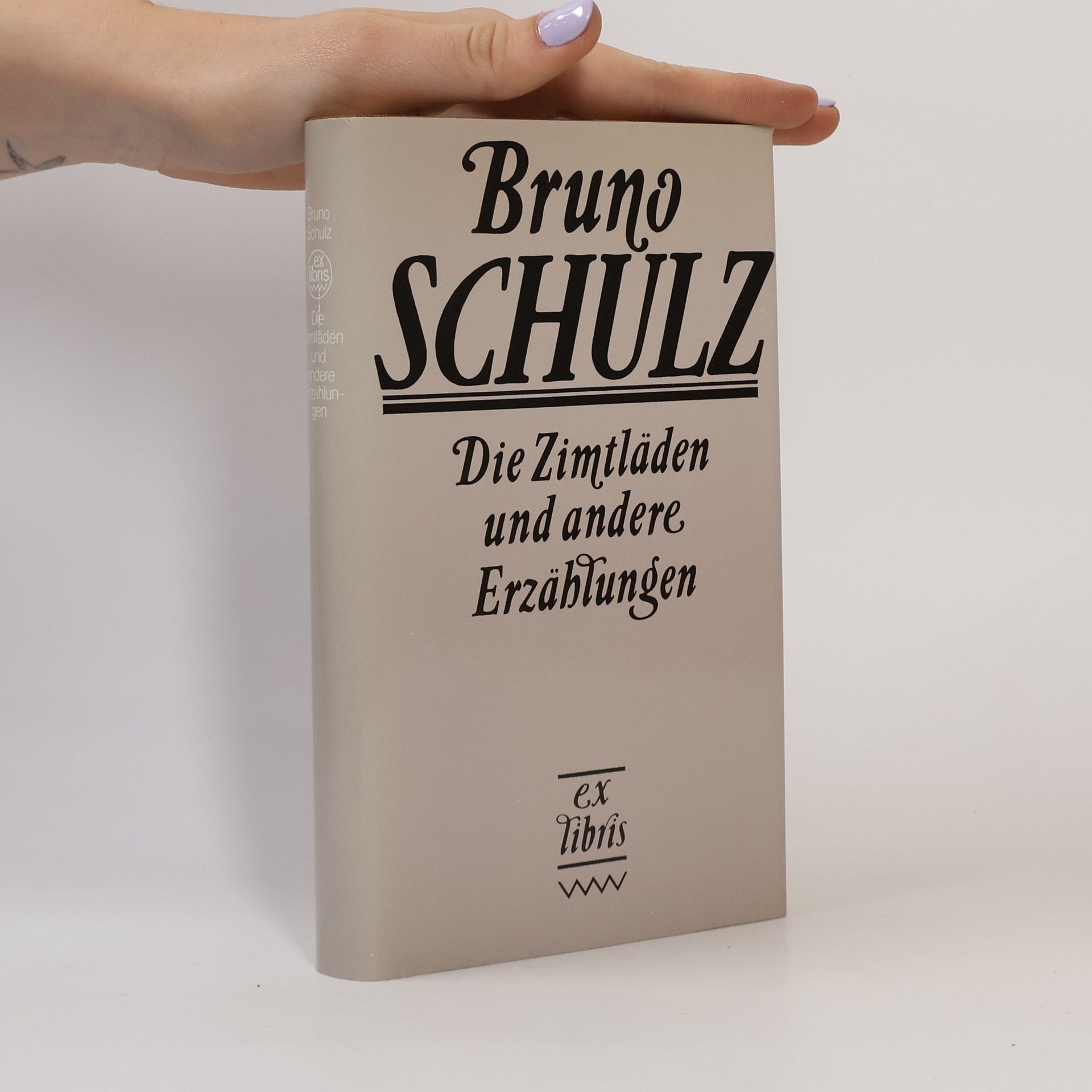 Bruno Schulz Die Zimtläden und andere Erzählungen