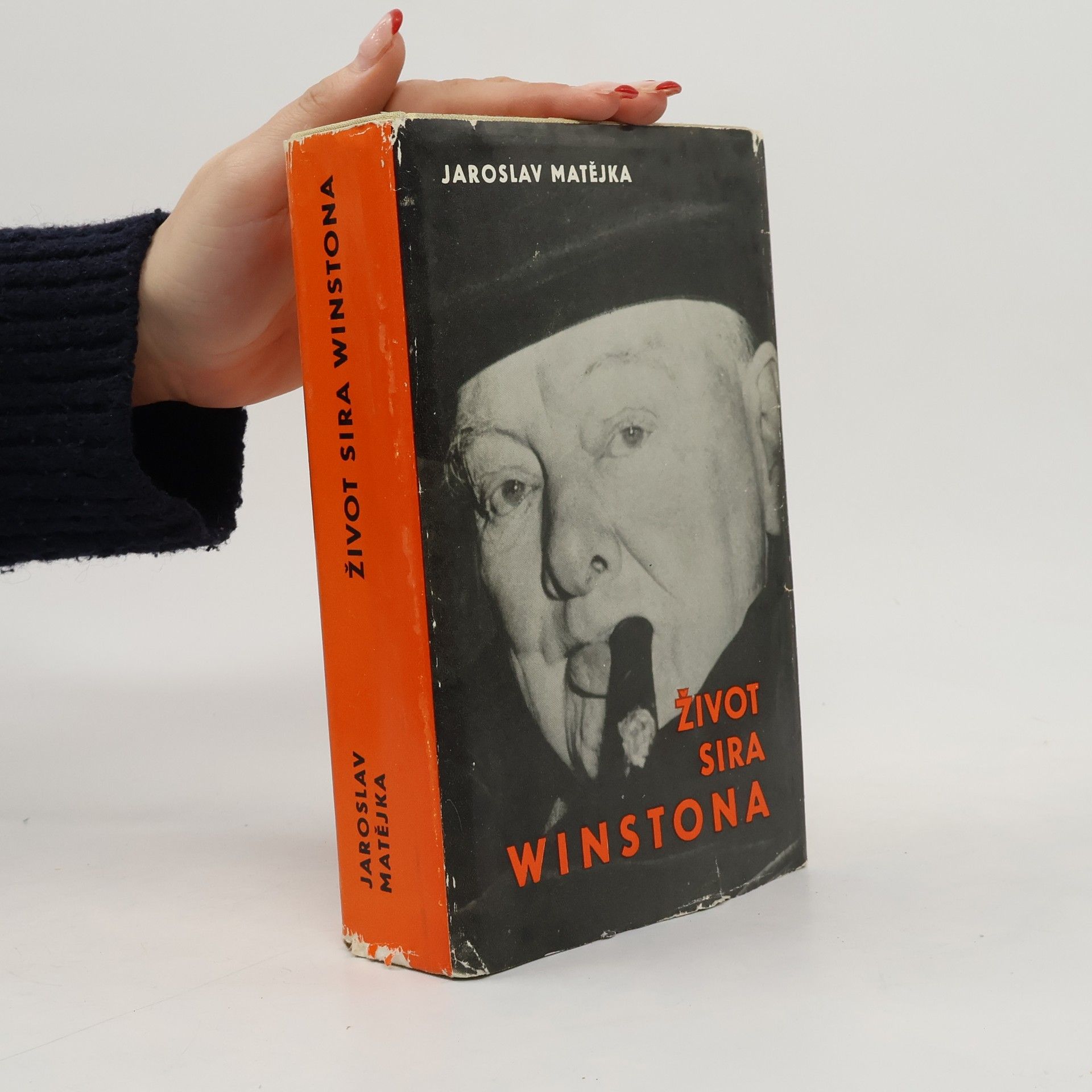 Jaroslav Matějka Život sira Winstona