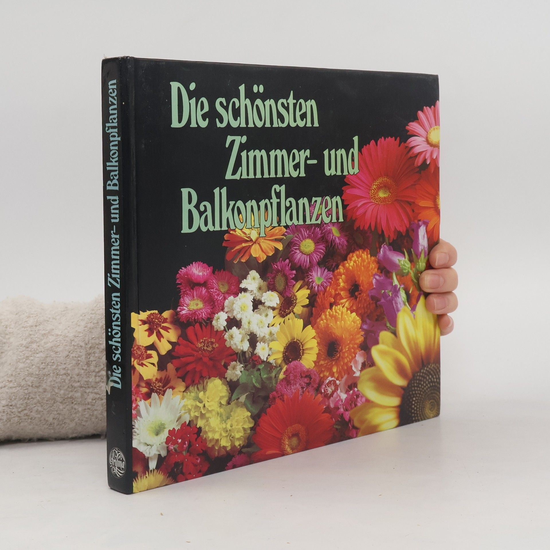 Allan Moin  Die schönsten Zimmer und Balkonpflanzen