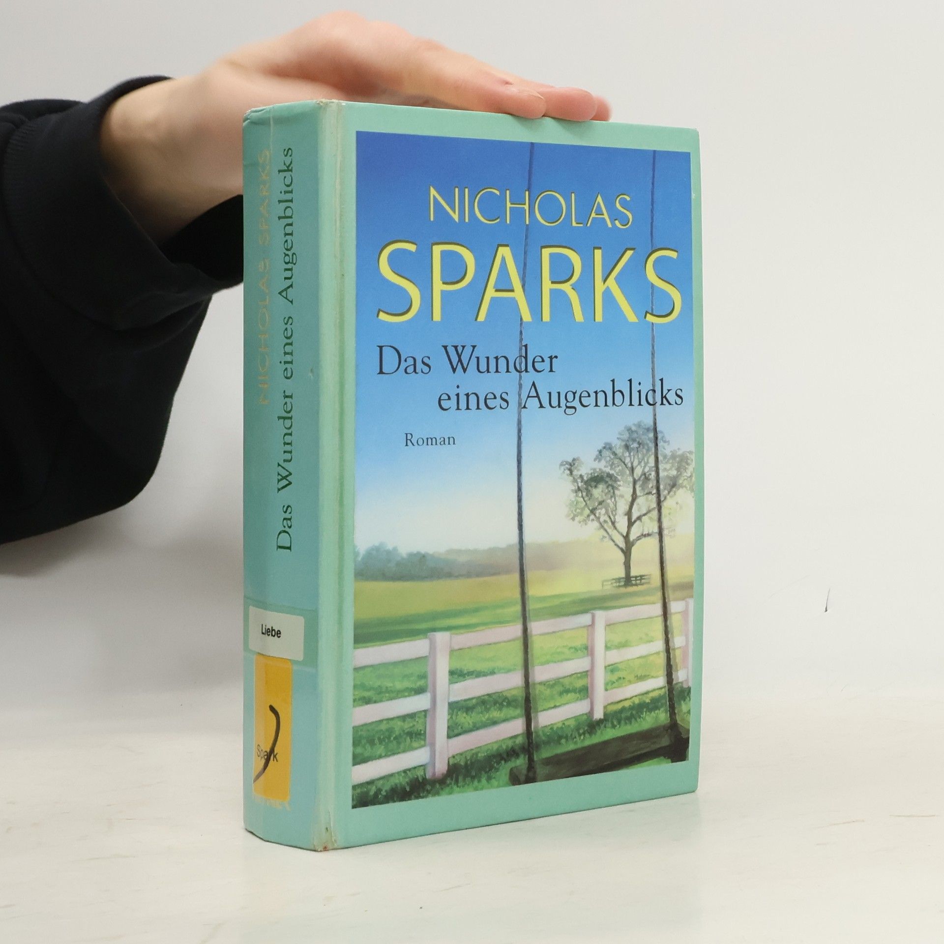 Nicholas Sparks Das Wunder eines Augenblicks