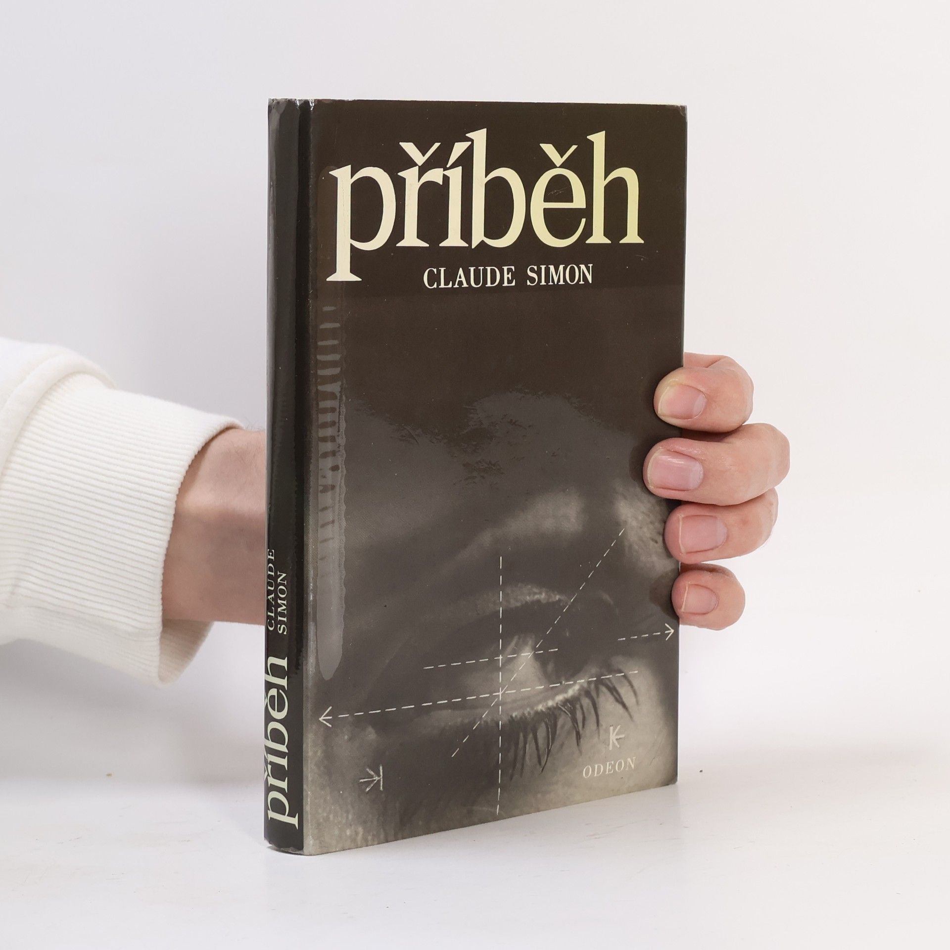 Claude Simon Příběh