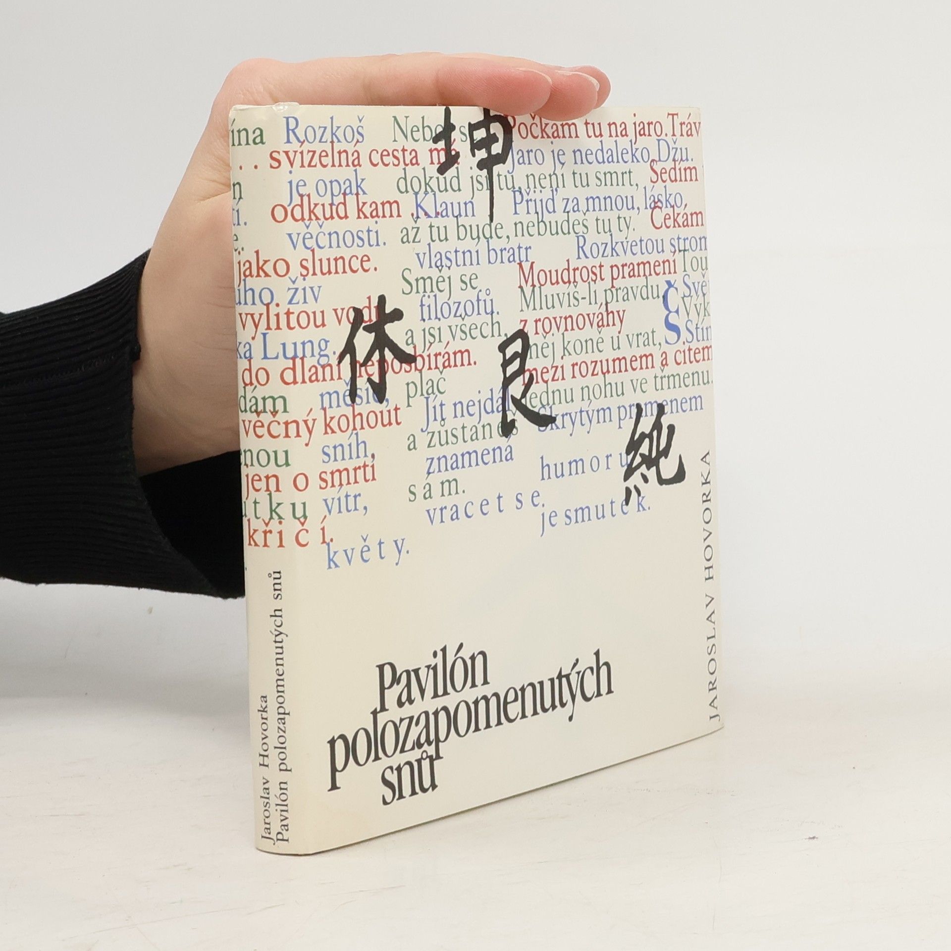 Jaroslav Hovorka Pavilón polozapomenutých snů