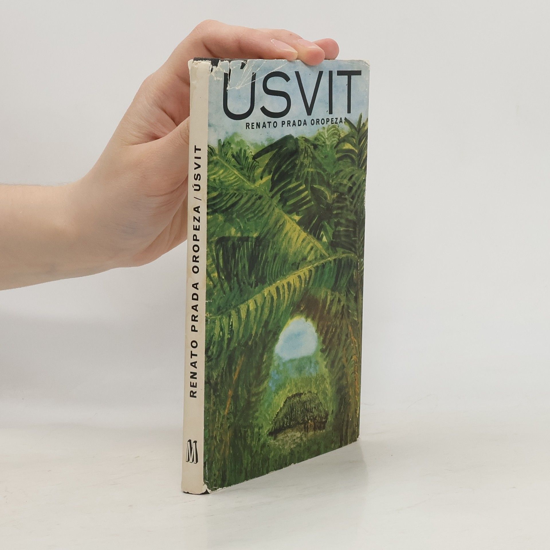 Renato Prada Oropeza Úsvit