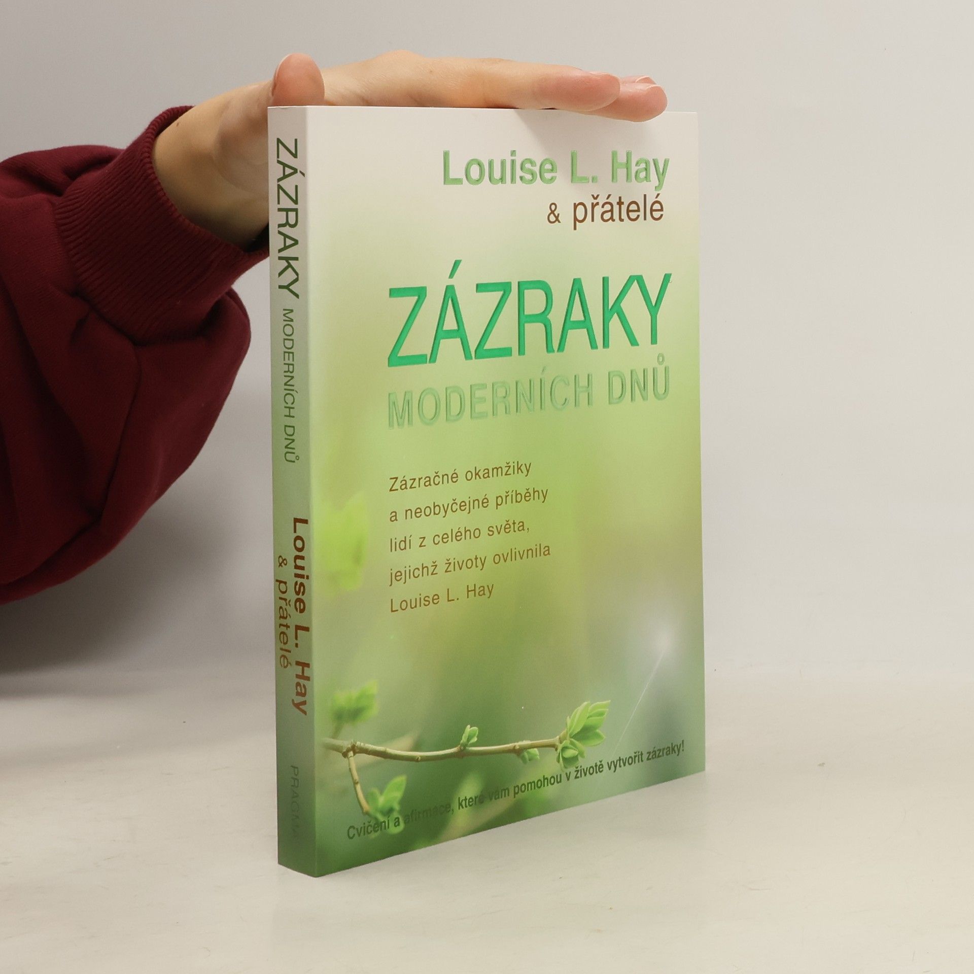 Louise Lynn Hay Zázraky moderních dnů : zázračné okamžiky a neobyčejné příběhy lidí z celého světa, jejichž životy ovlivnila Louise L. Hay