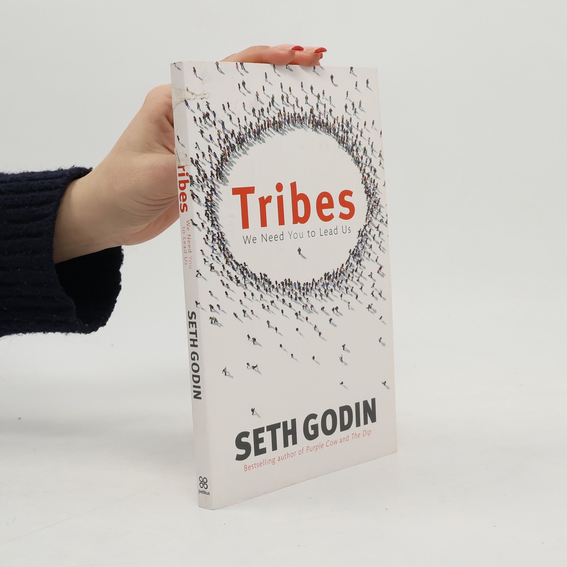 Seth Godin Tribes